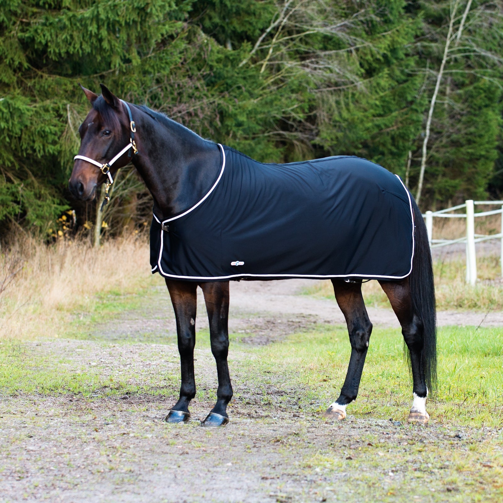 Finntack Pro Pritex Sommerdecke Pferdedecken