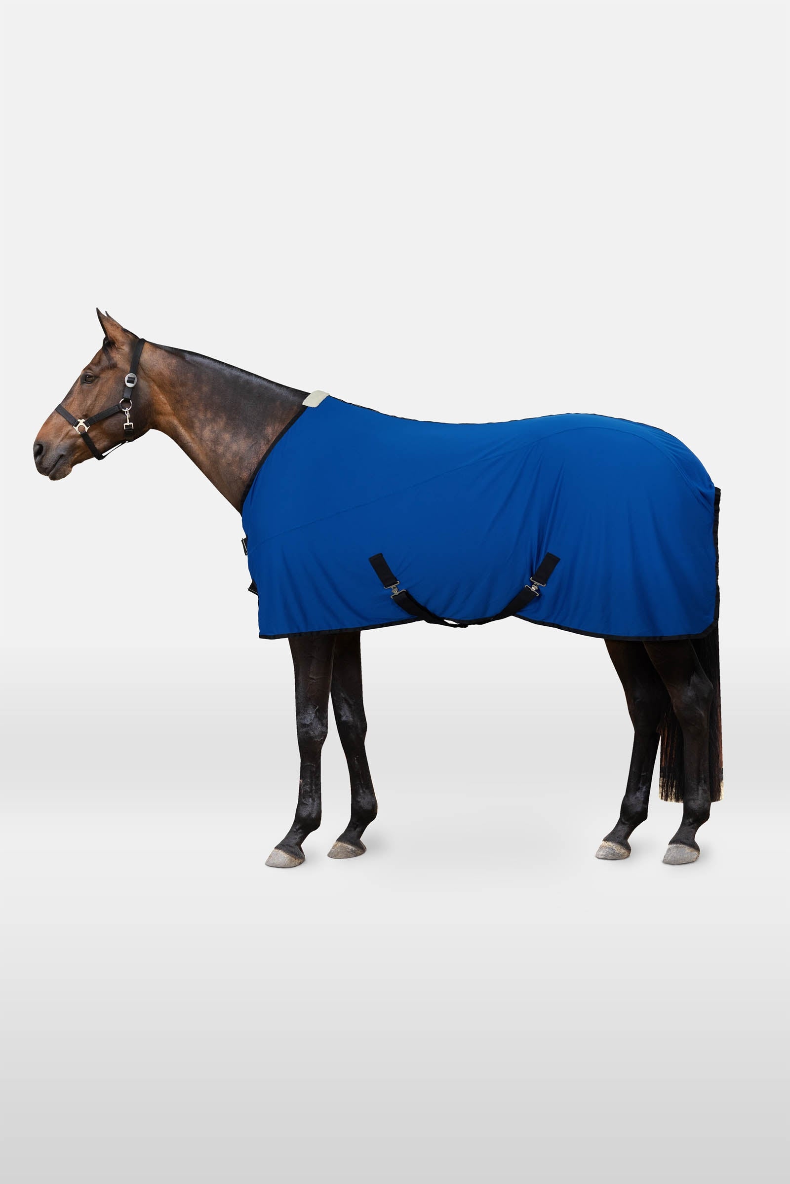 Horze Cooling Mesh Rug Horse Rugs