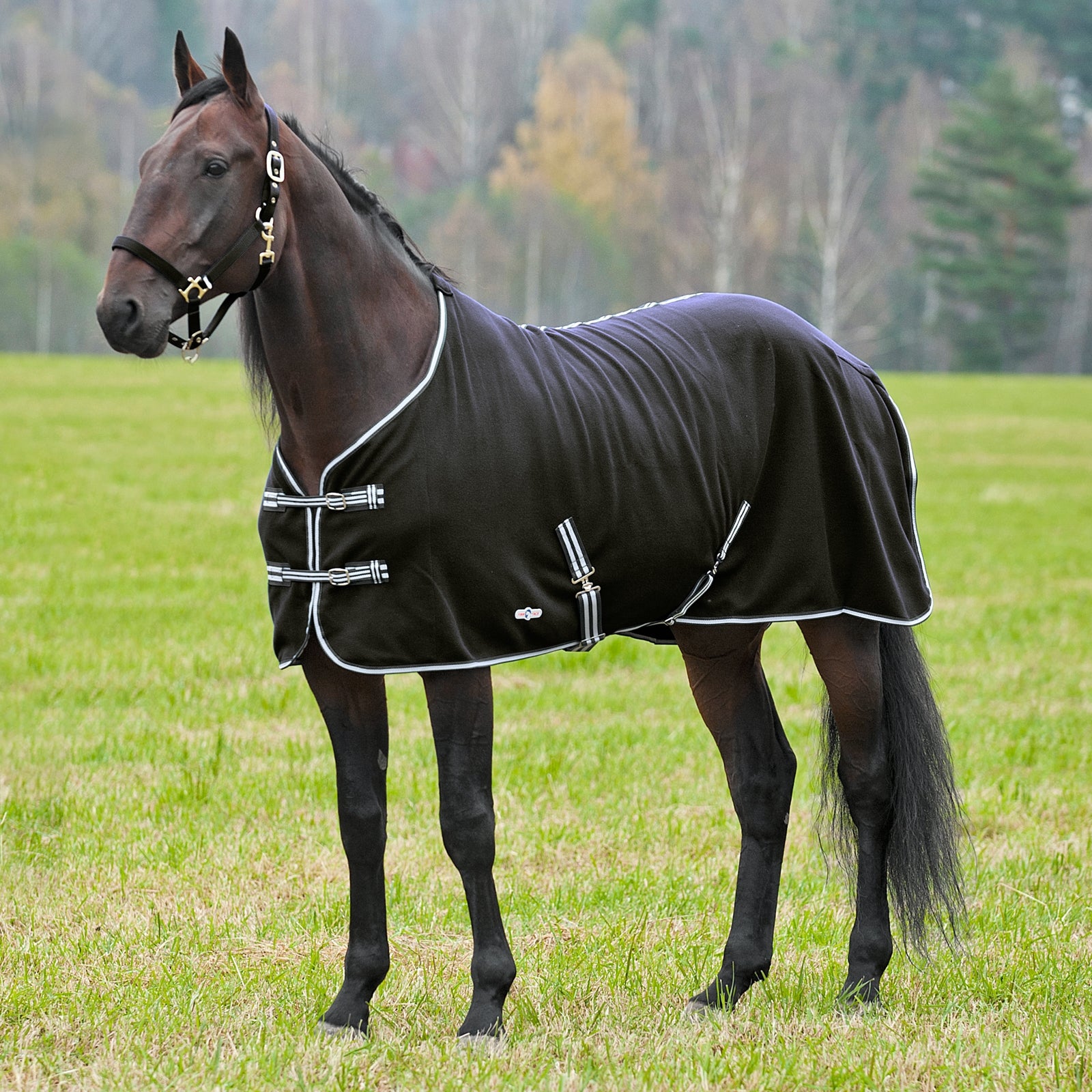 Finntack Pro Cuddle Fleece Abschwitzdecke Pferdedecken