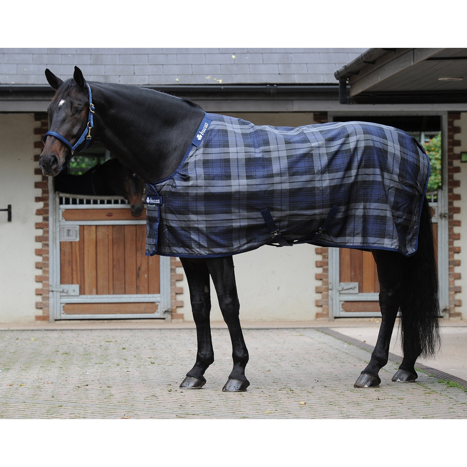 Bucas Celtic Stable Light rug Horse Rugs