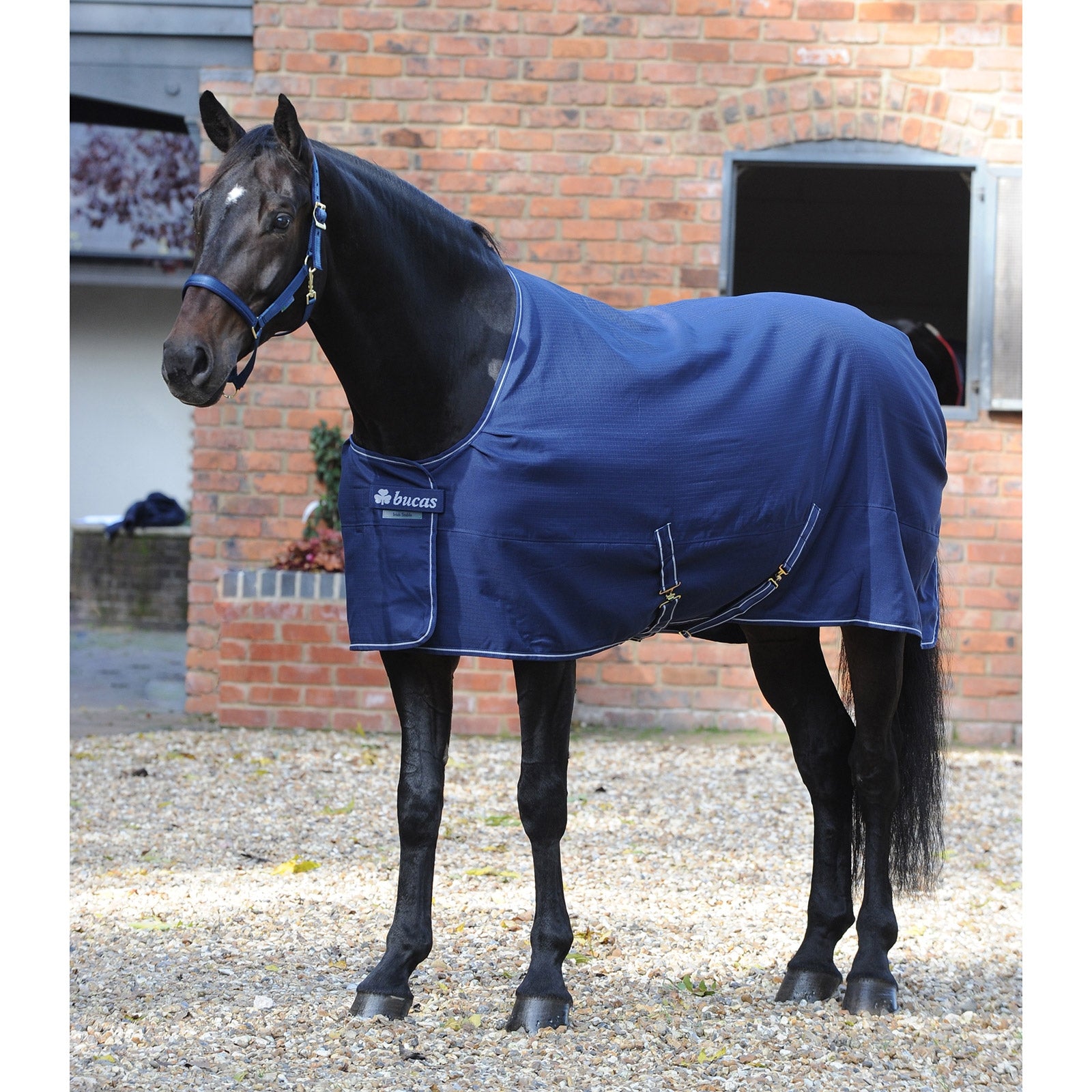 Bucas Irish Stalldecke, Light Pferdedecken