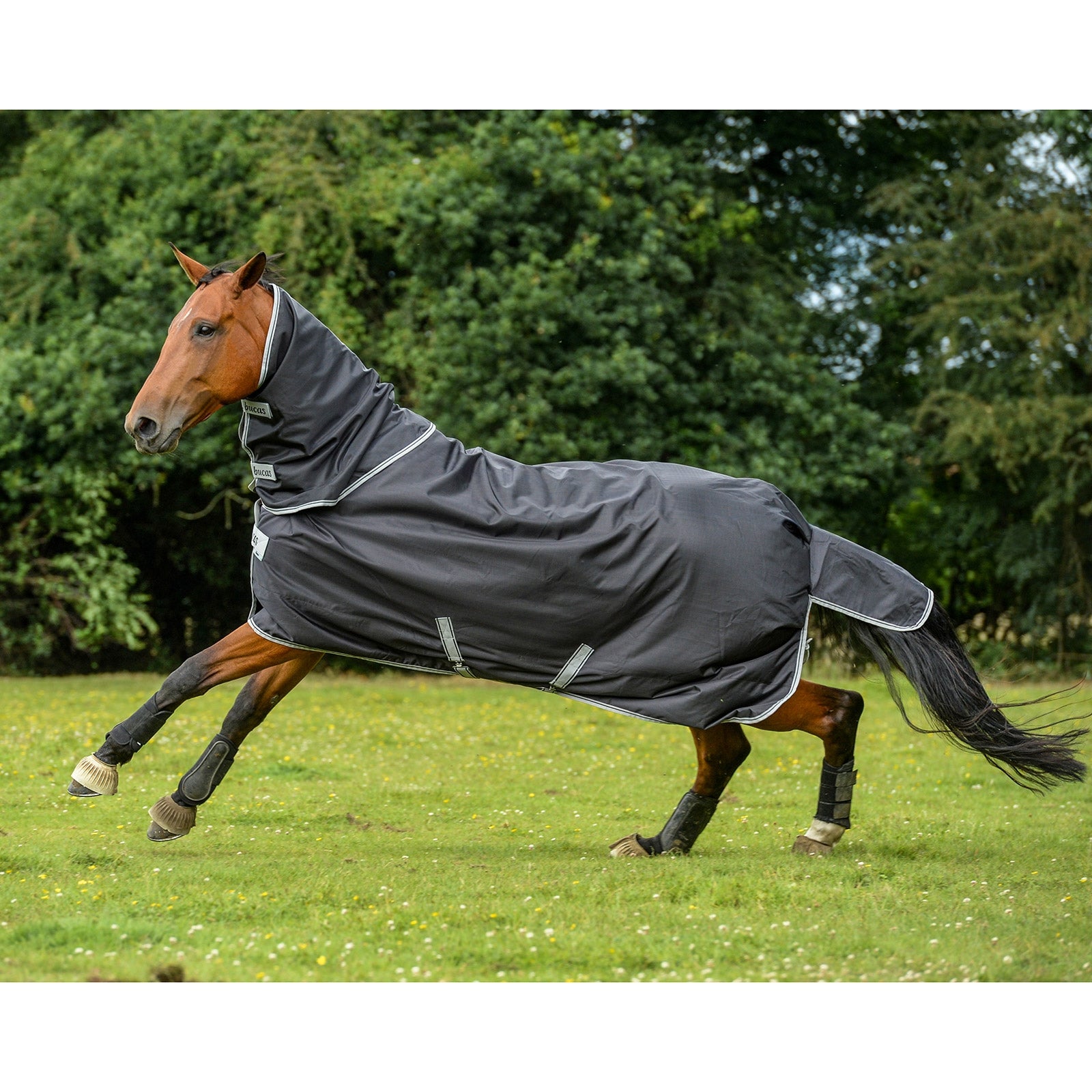 Bucas Smartex Halsteil, 0 g Pferdedecken