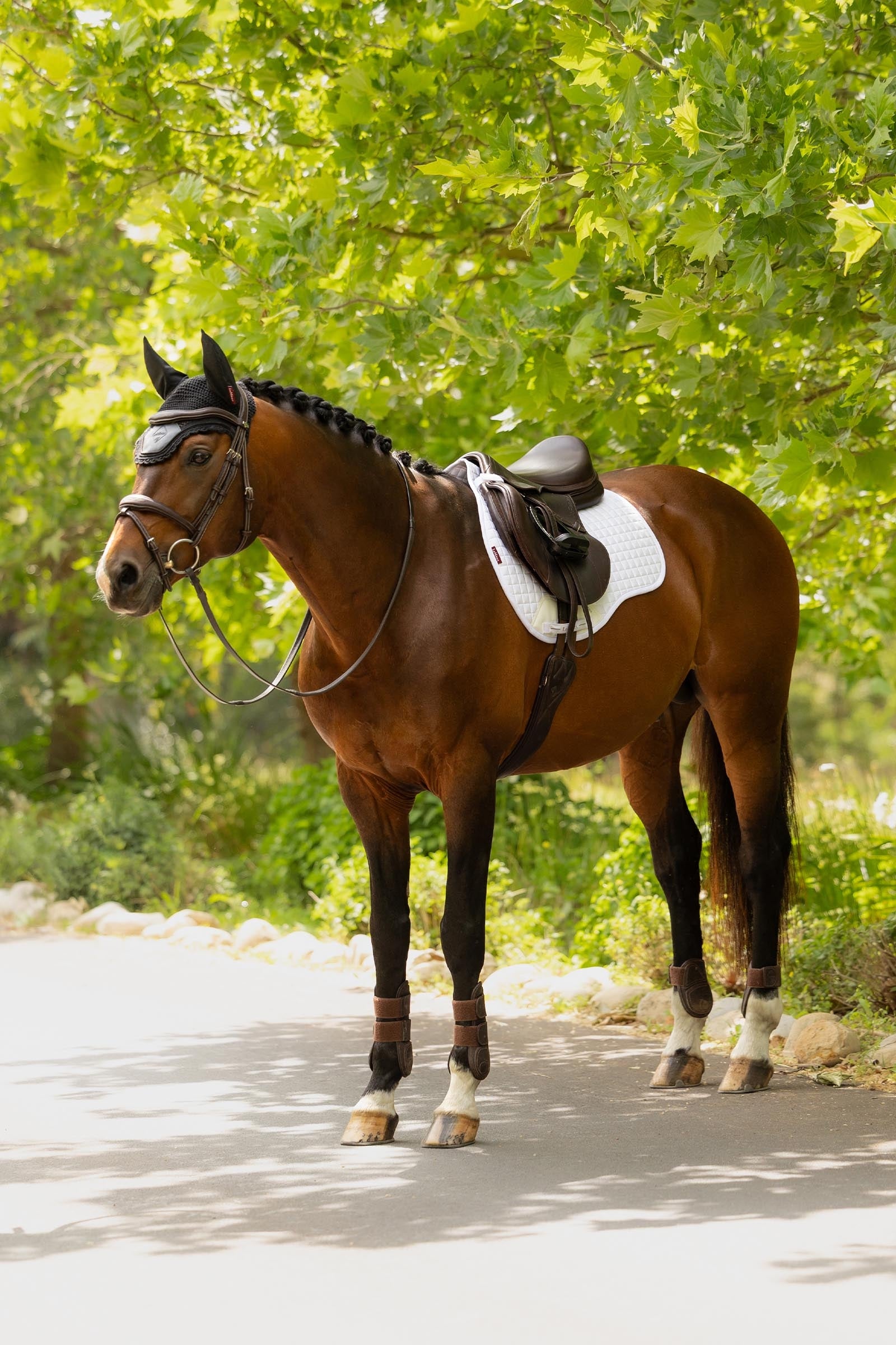 LeMieux Cotton GP Square Saddle Pad Saddle Pads