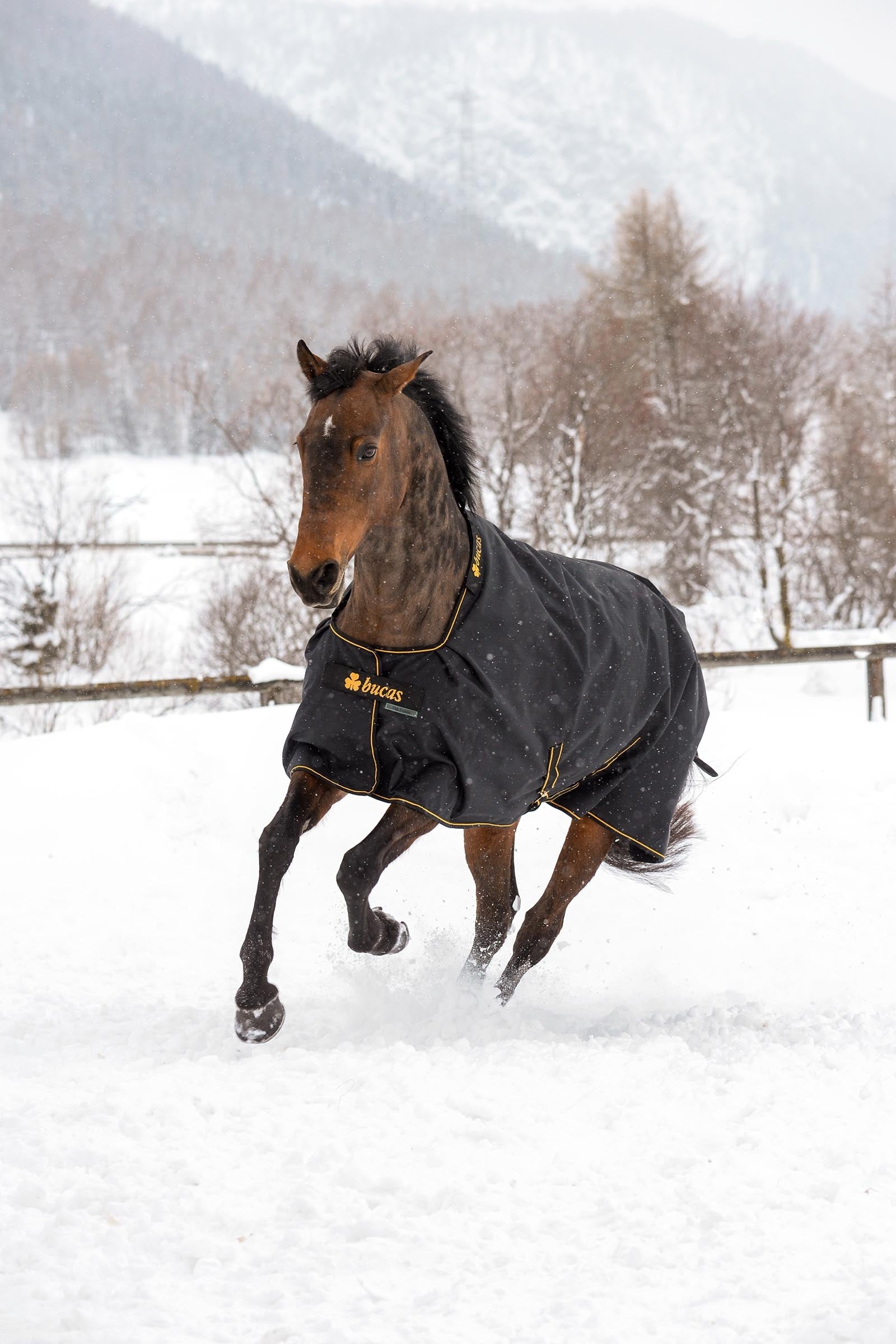 Bucas Irish Turnout Rug, 250g Horse Rugs