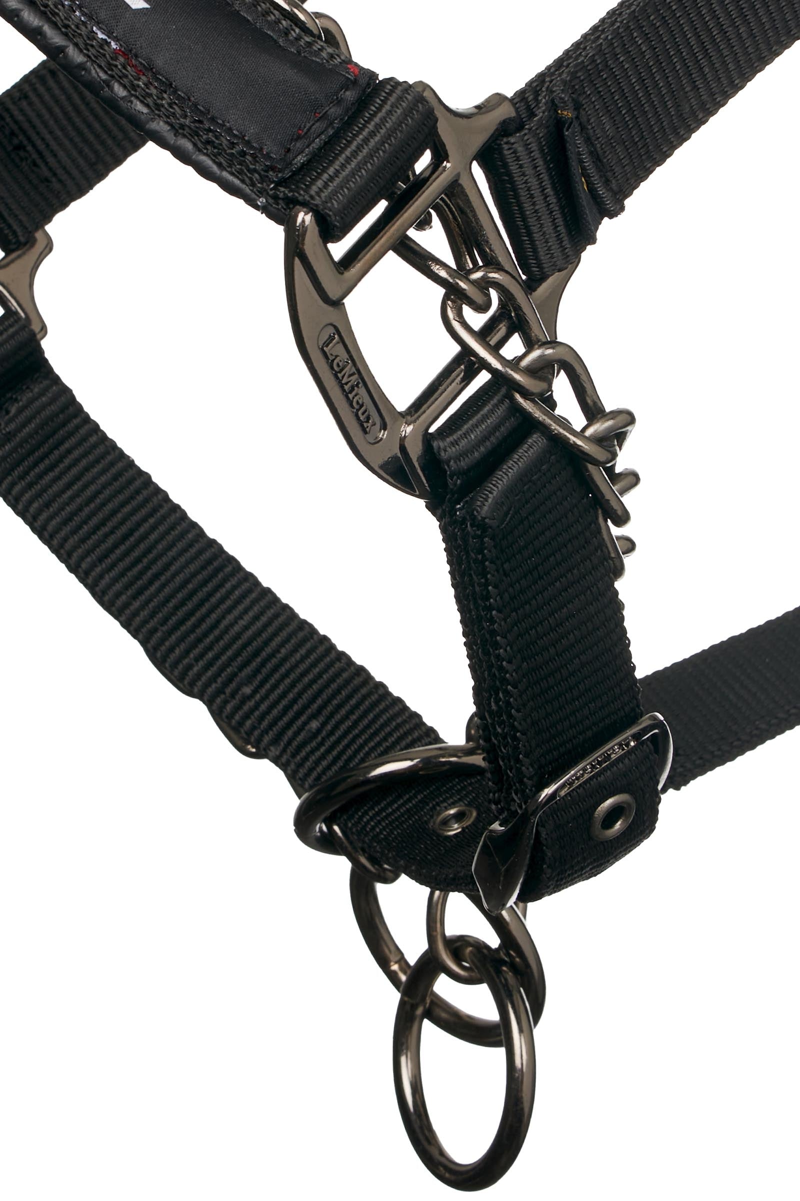 LeMieux ProSafe Head Collar Halters & Leads