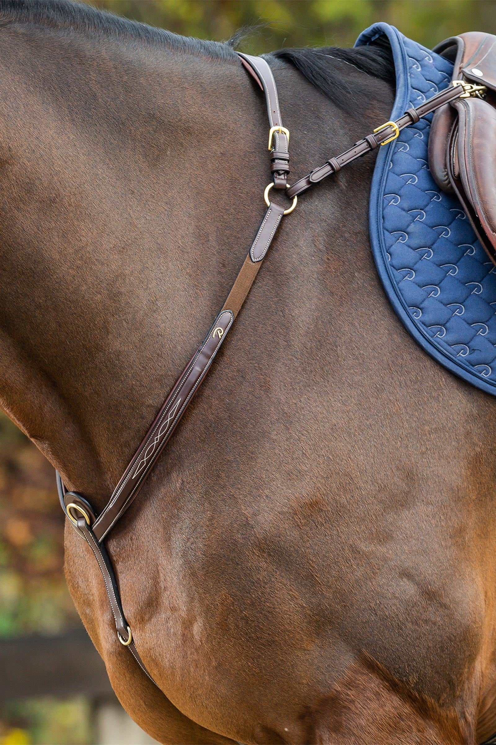 Dy'on D Collection Vorderzeug mit Brücke Trensenzäume & Zügel