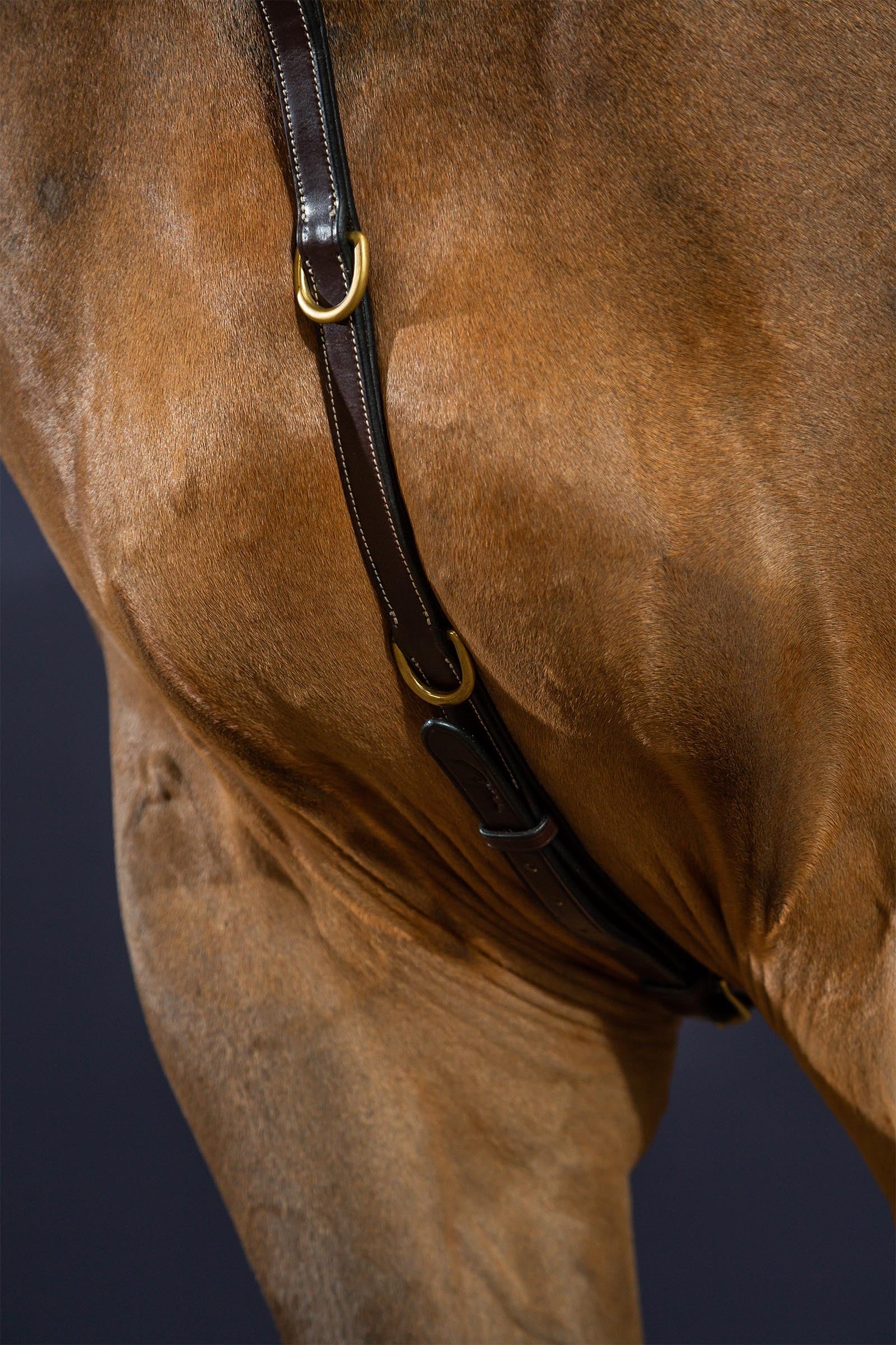 Dy'on D Collection Bridge Breastplate Bridles & Reins