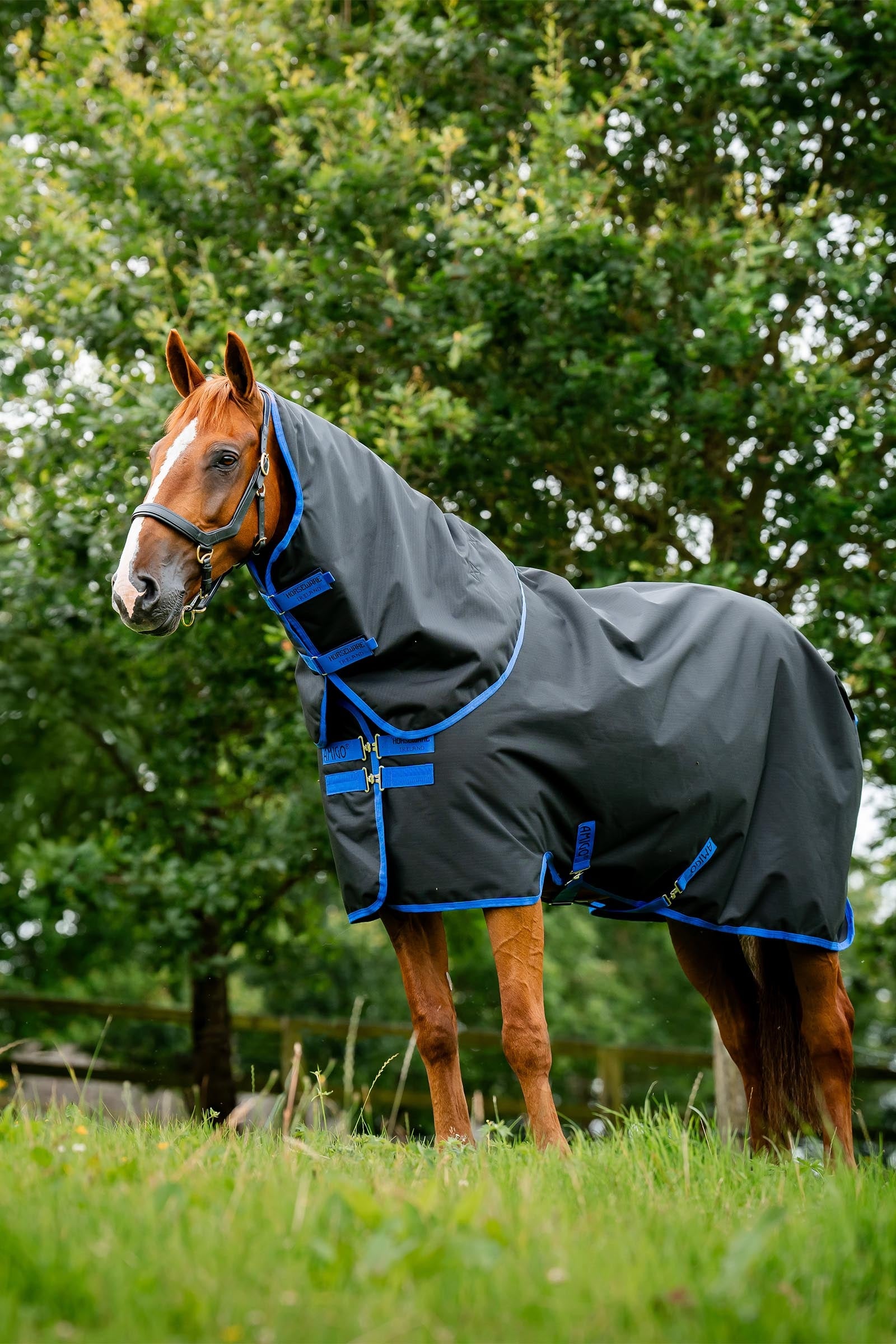 Horseware Amigo Ripstop 900D Plus Turnout Rug, 100 g Horse Rugs