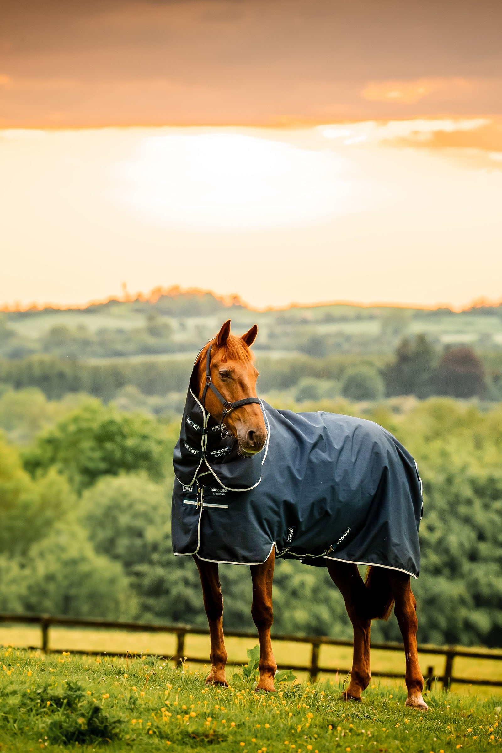 Horseware Amigo Ripstop 900D Plus Weidedecke mit abnehmbarem Halsteil, 100 g Pferdedecken