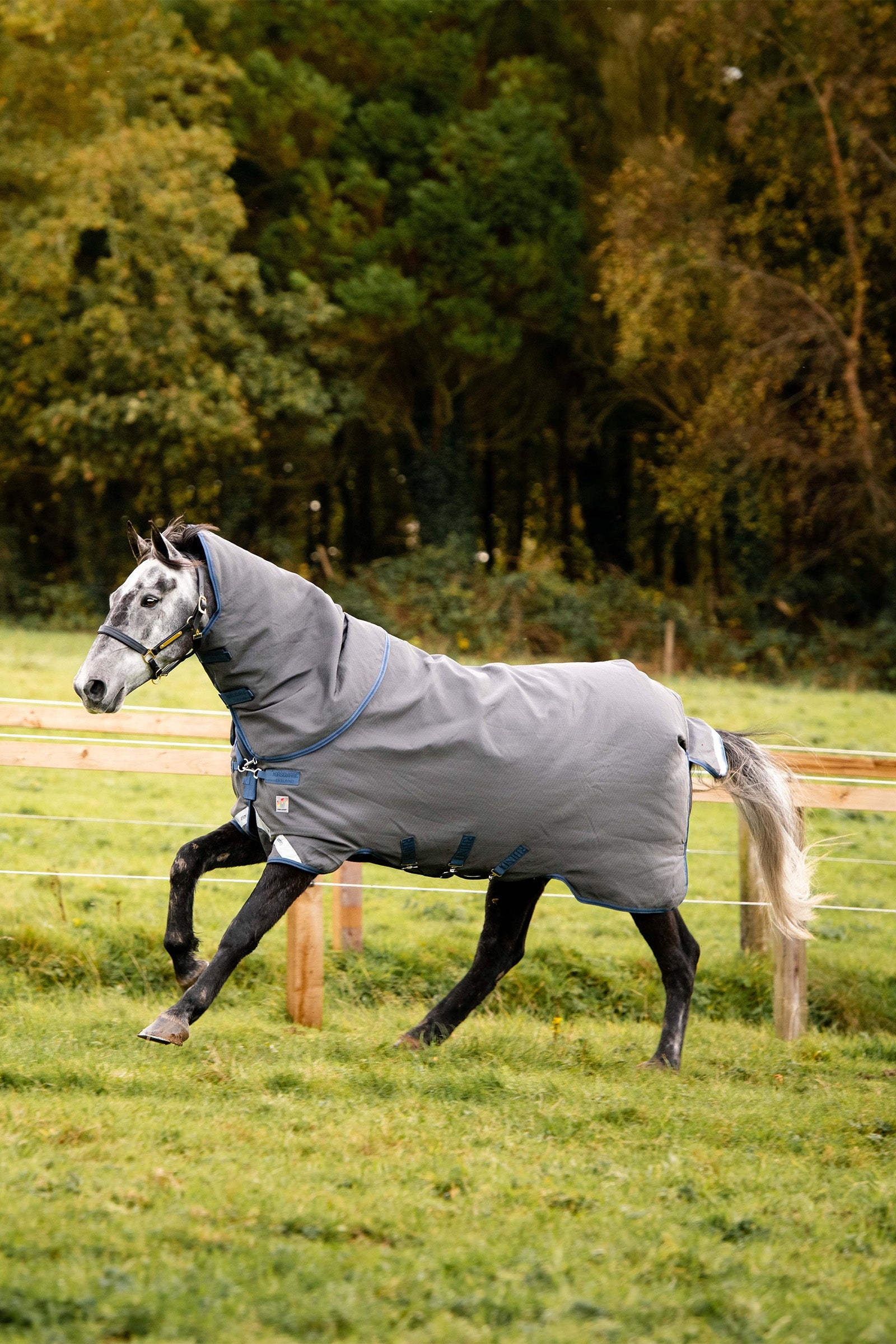 Horseware Rhino Plus HexSTOP Vari-Layer Weidedecke, 100g Pferdedecken