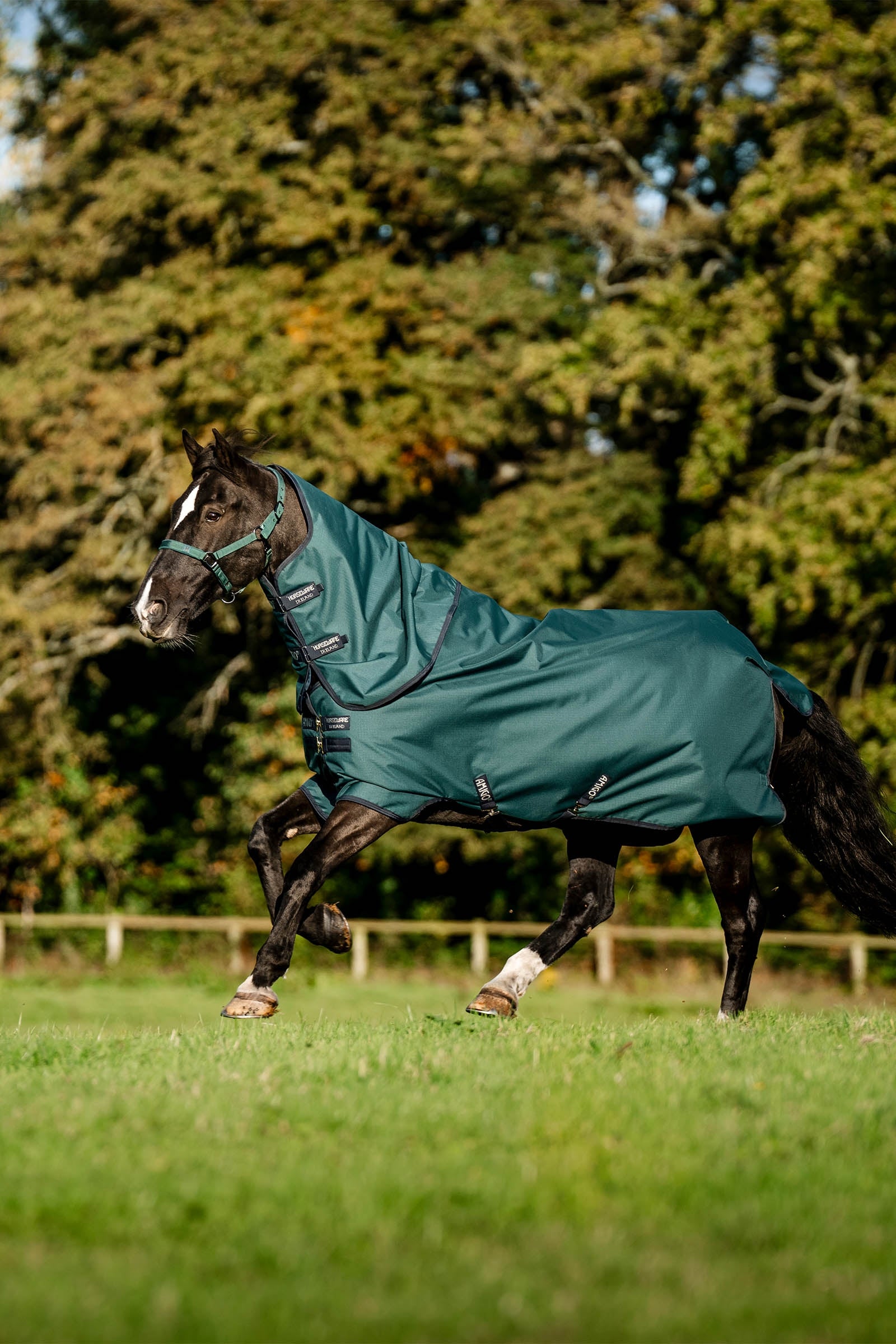 Horseware Amigo Ripstop 900D Plus Turnout Rug With Detachable Neck, 0 g Horse Rugs