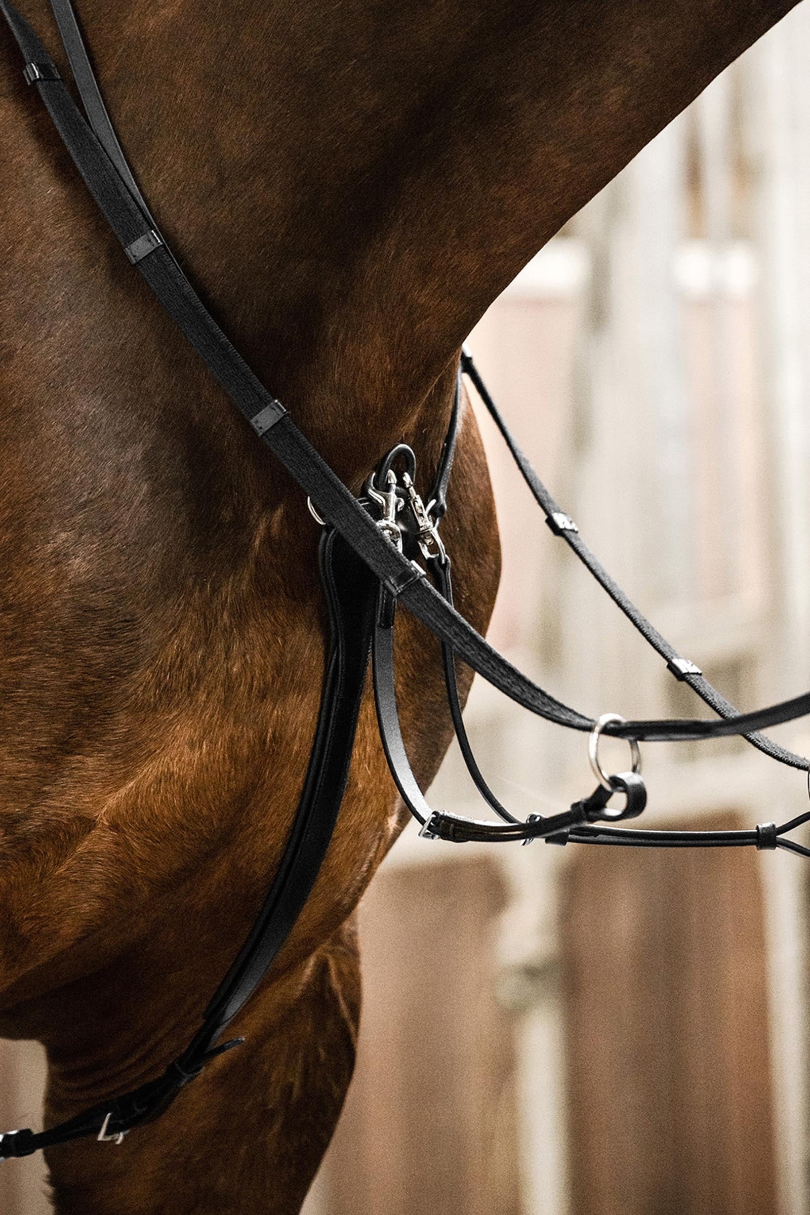 Waldhausen X-Line Professinal Martingale Bridles & Reins