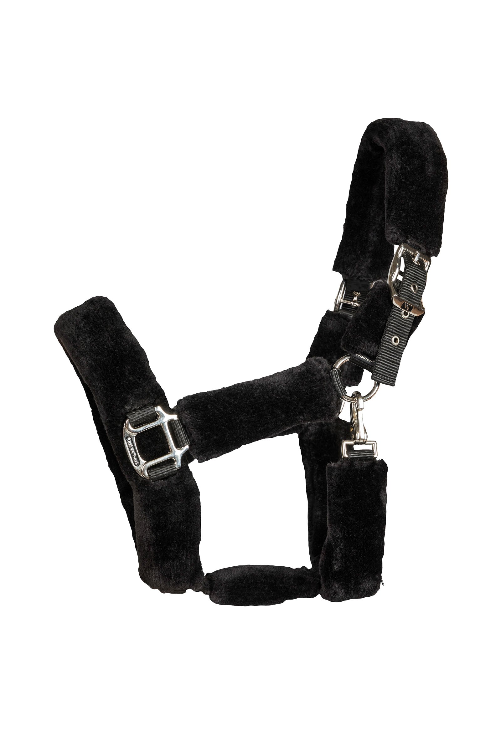 Back on Track Audrey Halfter Halfter & Stricke