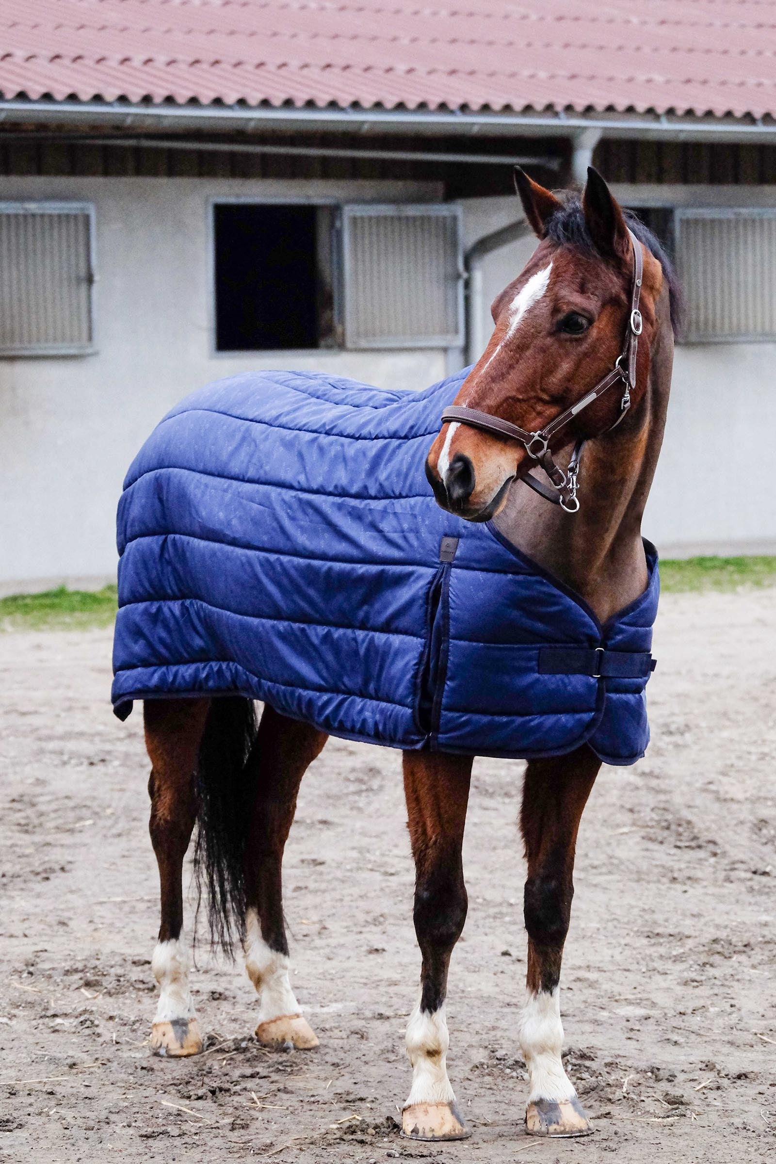 EQUITHÈME Classic Unterdecke, 50 g Pferdedecken