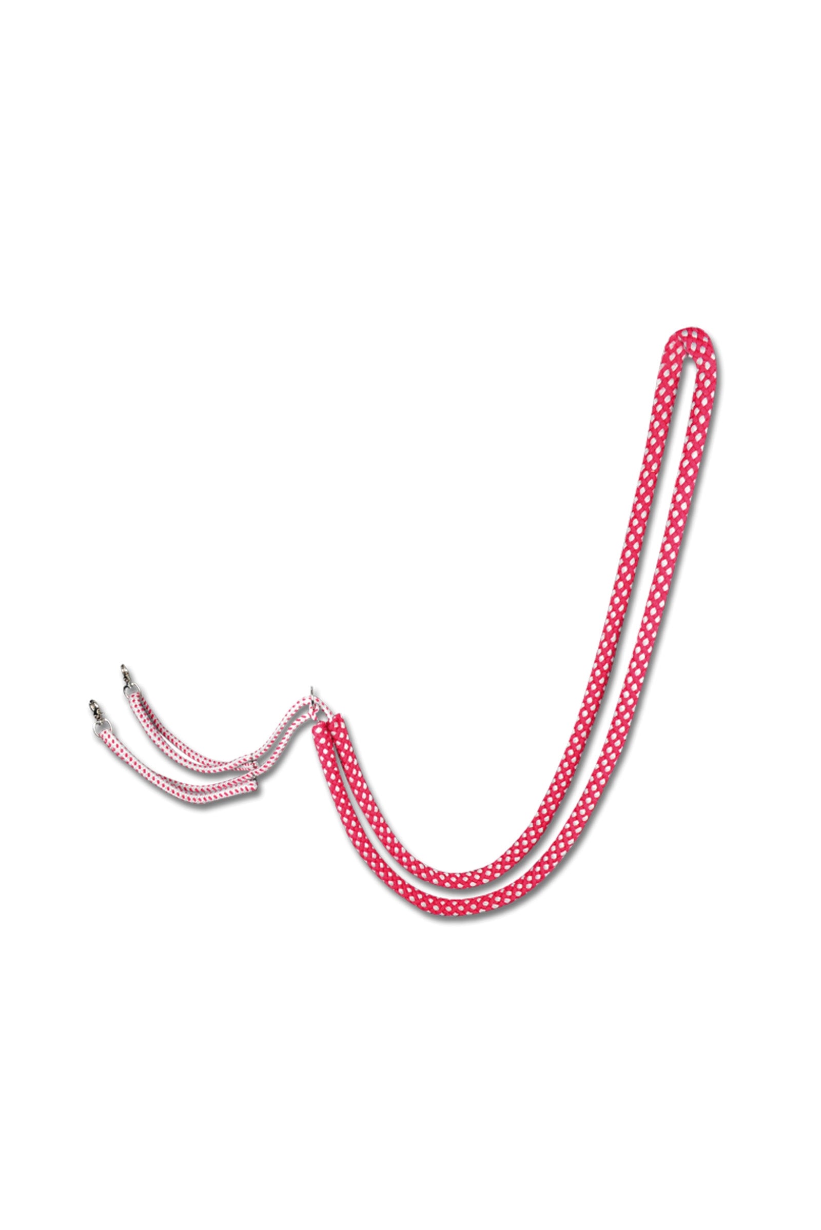 Waldhausen Lunging System Horse Training