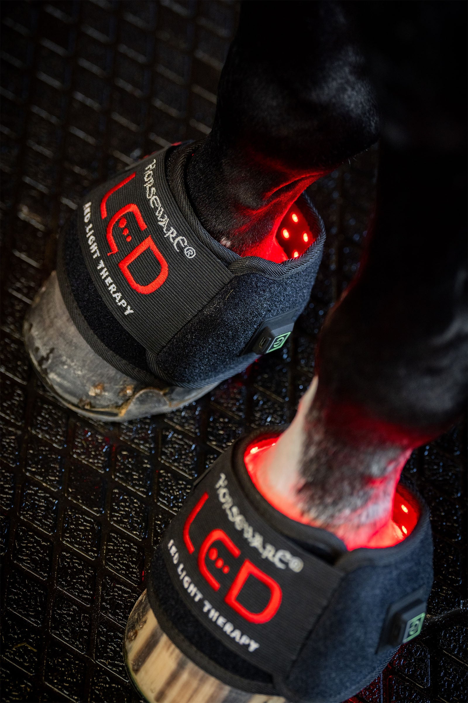 Horseware LED Rotlicht Therapie Mini-Gamasche (1 Stk.) Leg & Hoof Protection