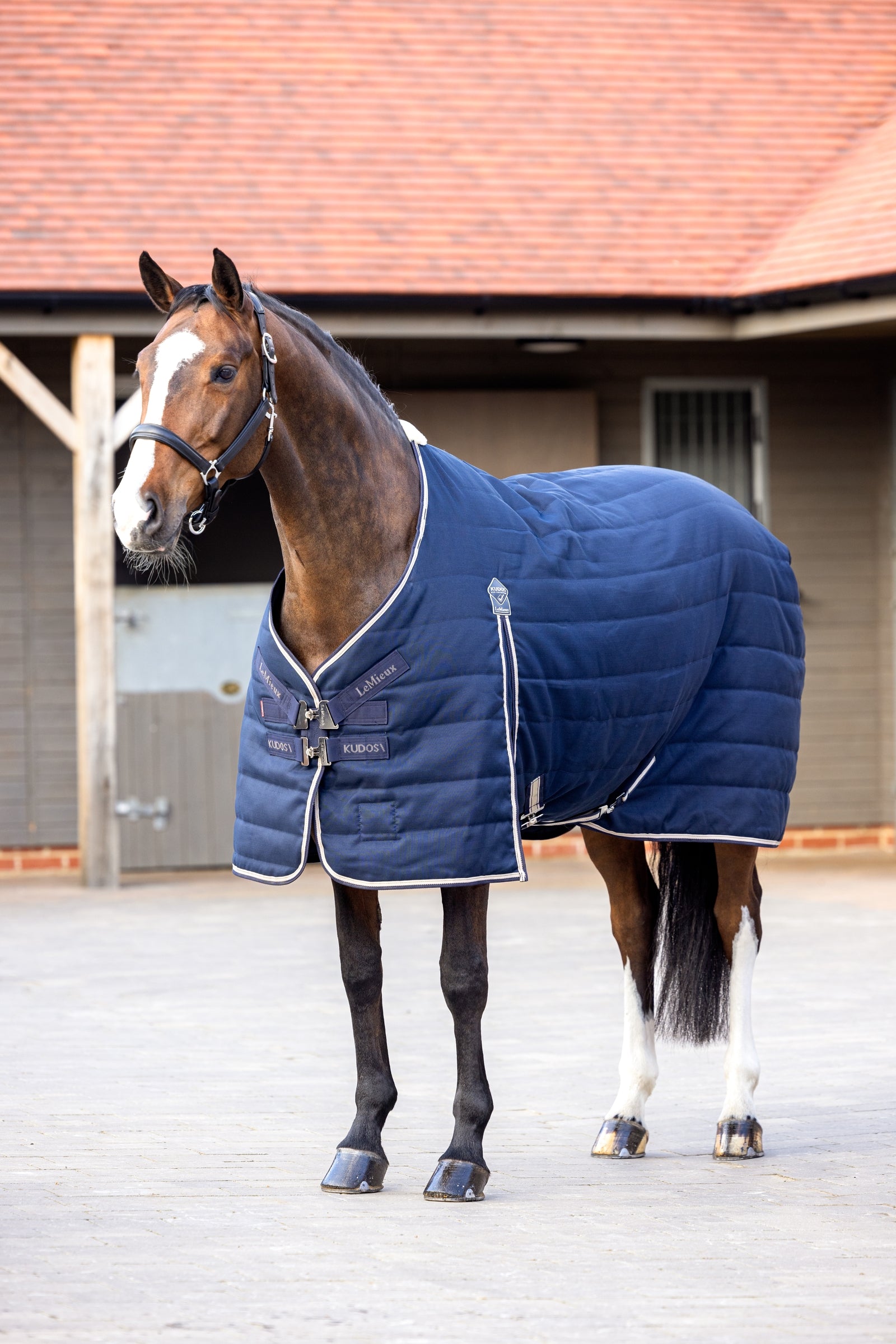 LeMieux Kudos Stable Rug, 100g Pferdedecken