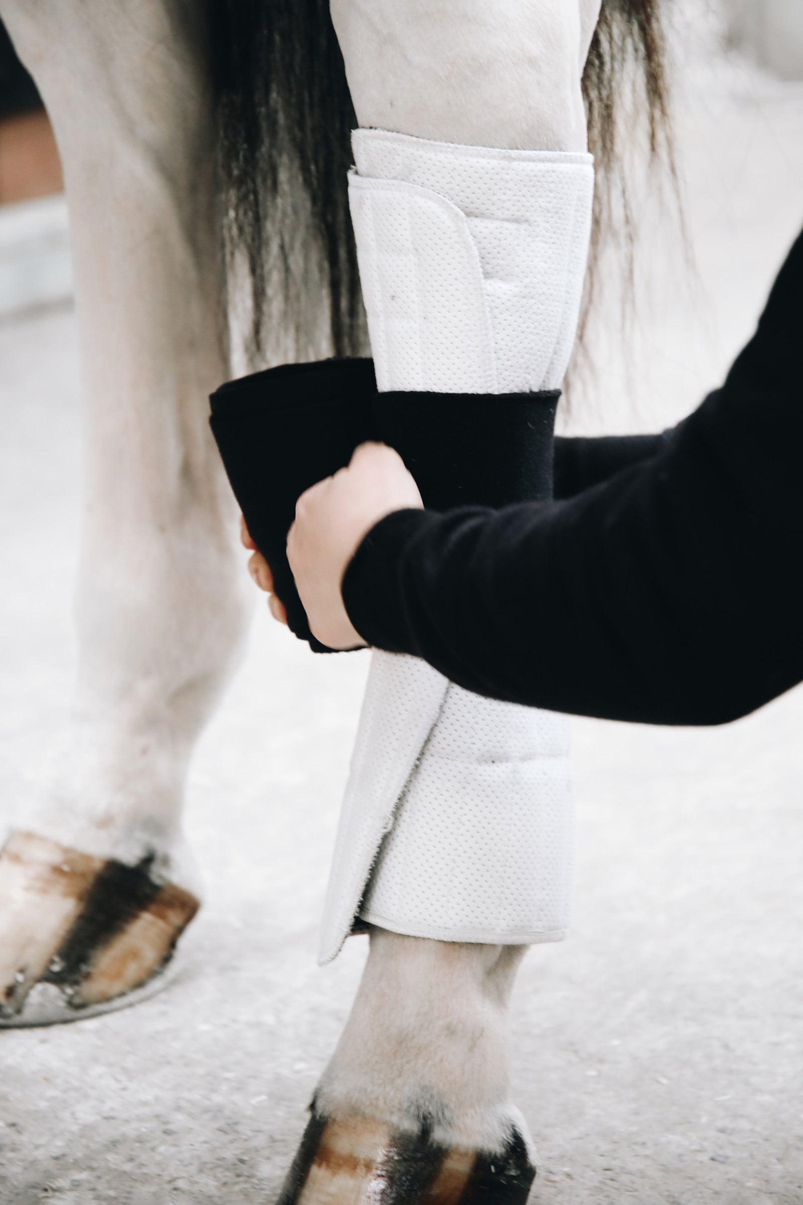 Kentucky Horsewear Absorb leg wraps, 45x30cm Leg Protection & Hoof Protection for Horses