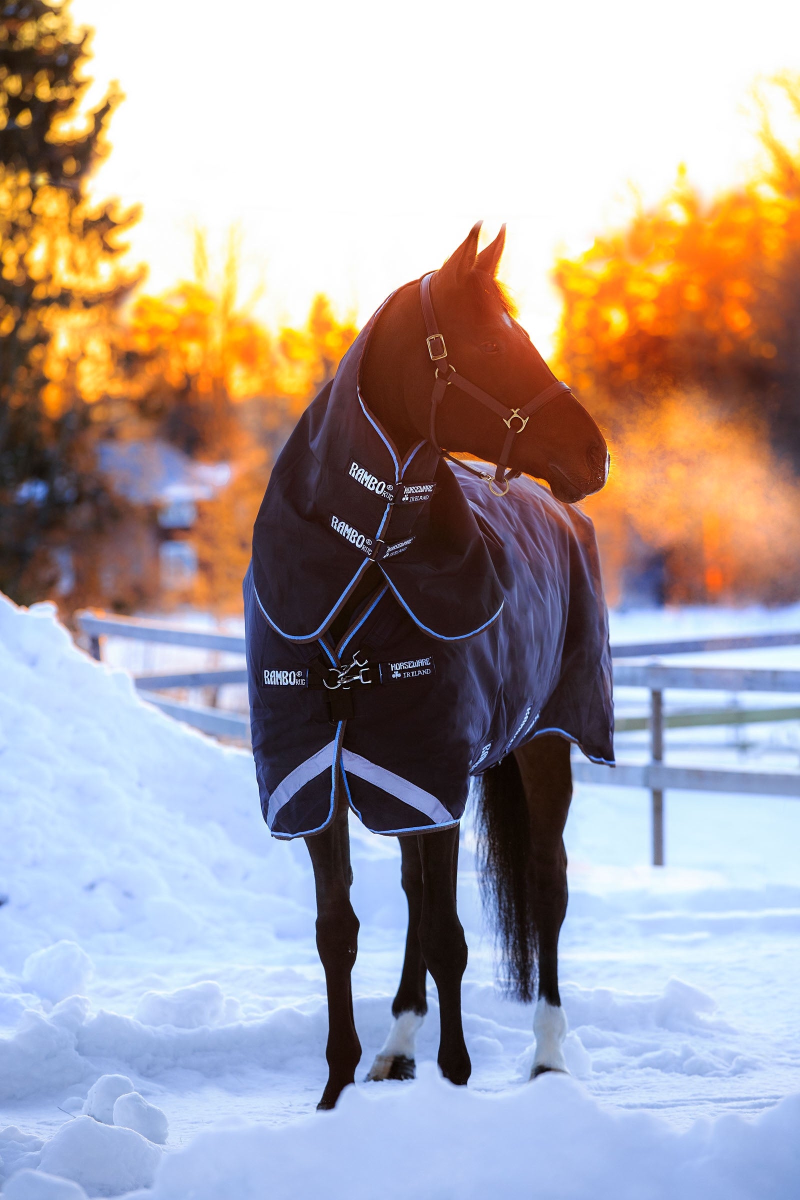 Horseware Rambo Duo Winterdecke, 100g mit abnehmbarem Halsteil & 100g + 300g Unterdecke Pferdedecken