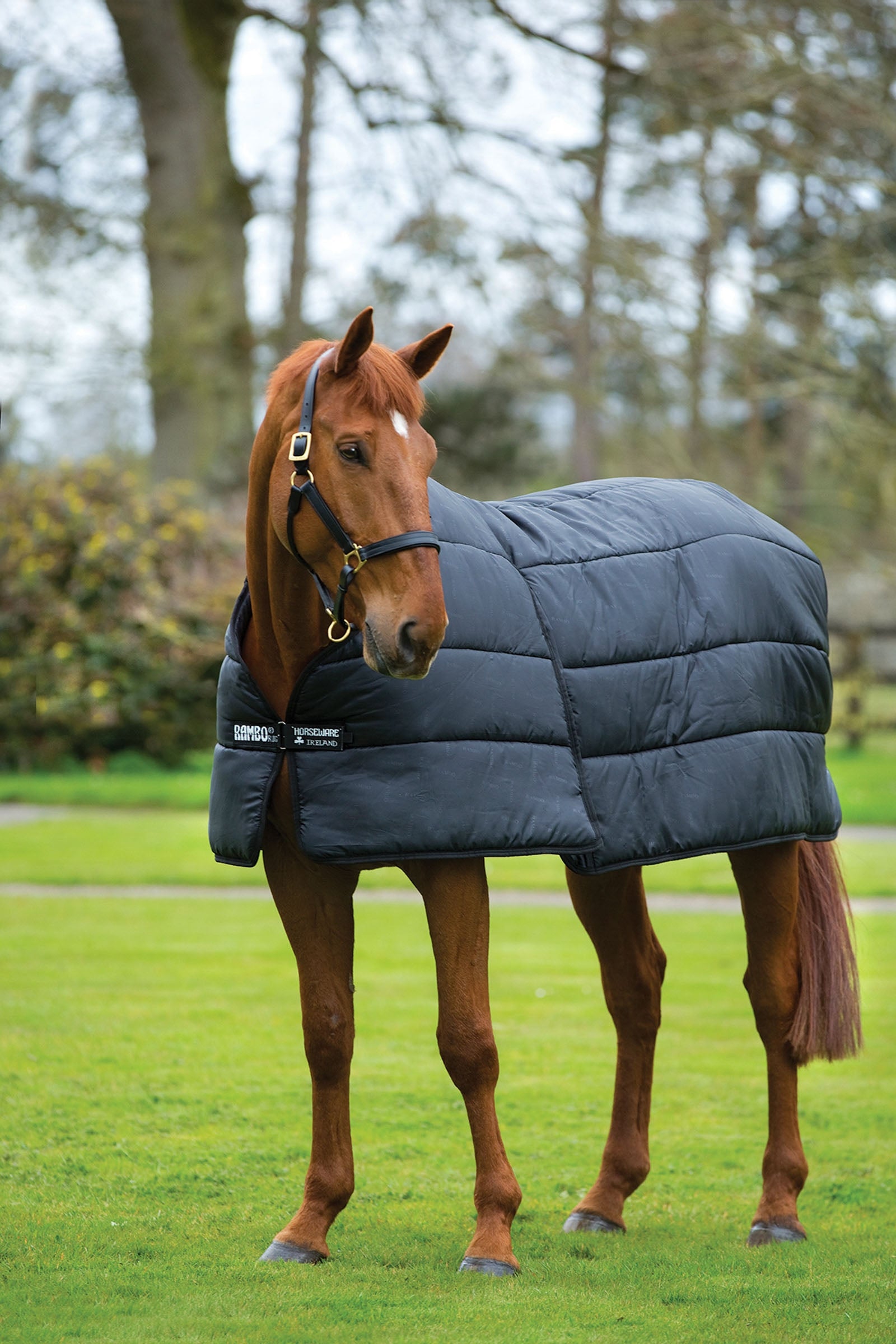 Horseware Rambo Optimo Unterdecke, 200g Pferdedecken