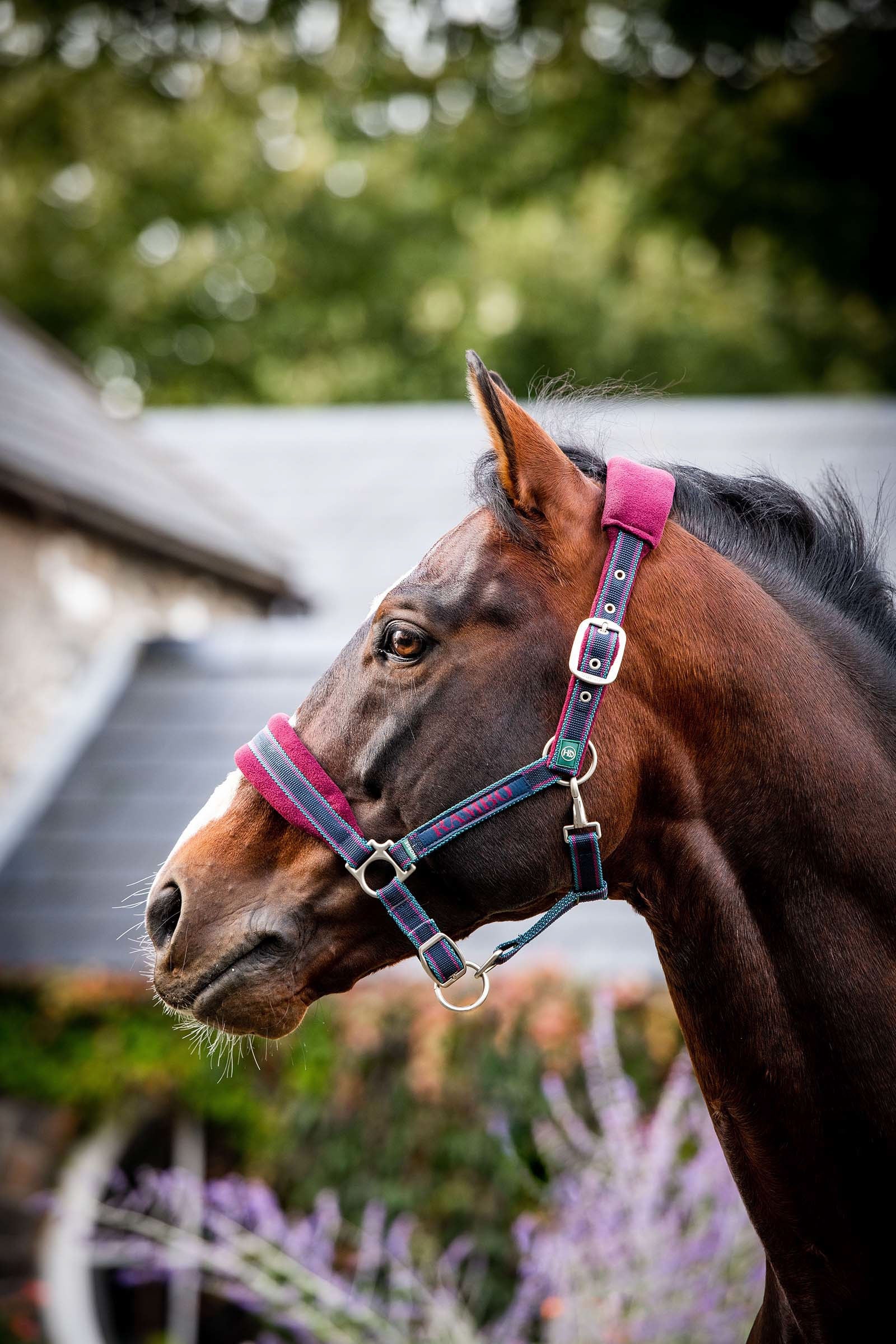 Horseware Rambo Padded Head collar Halters & Leads