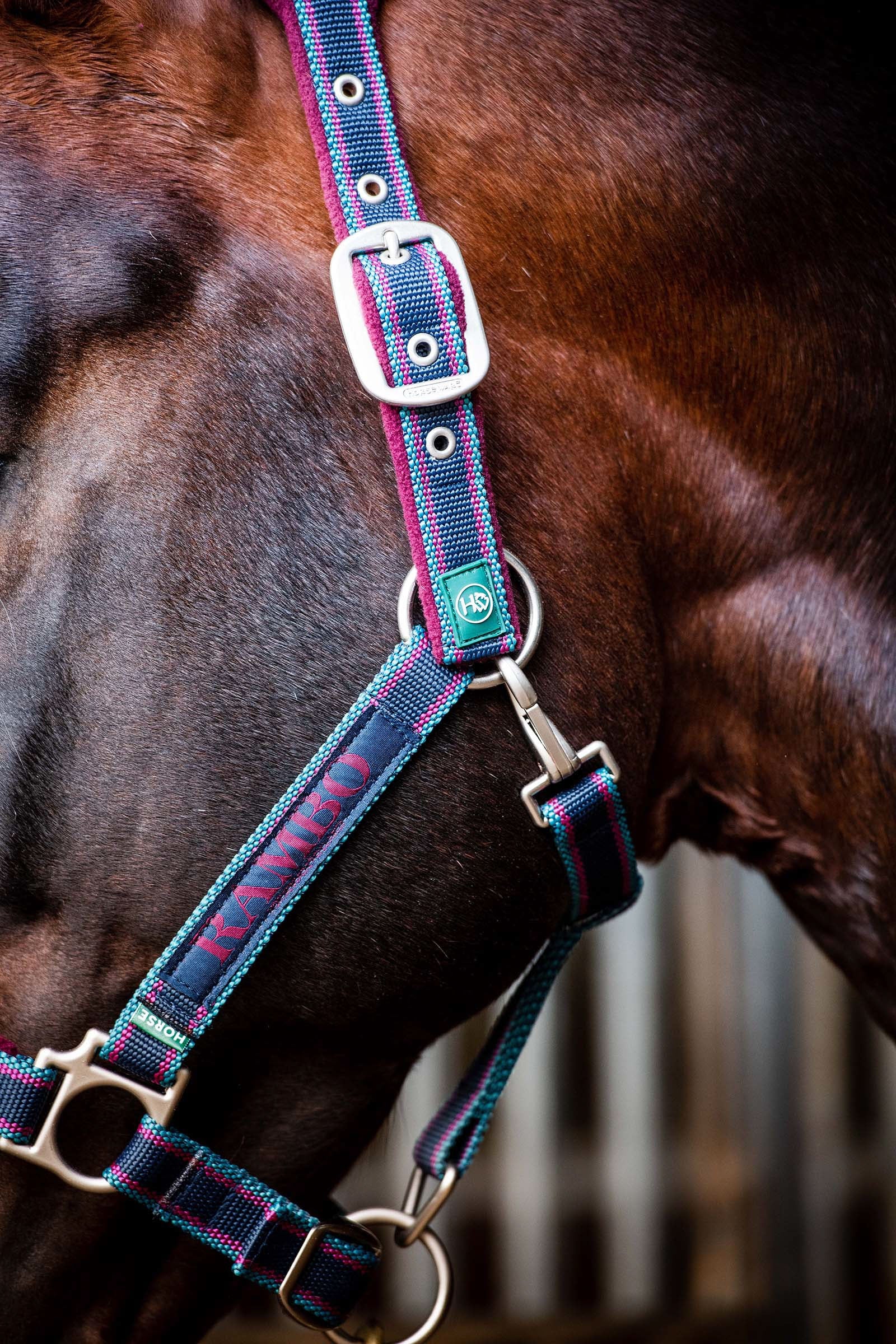 Horseware Rambo Padded Head collar Halters & Leads