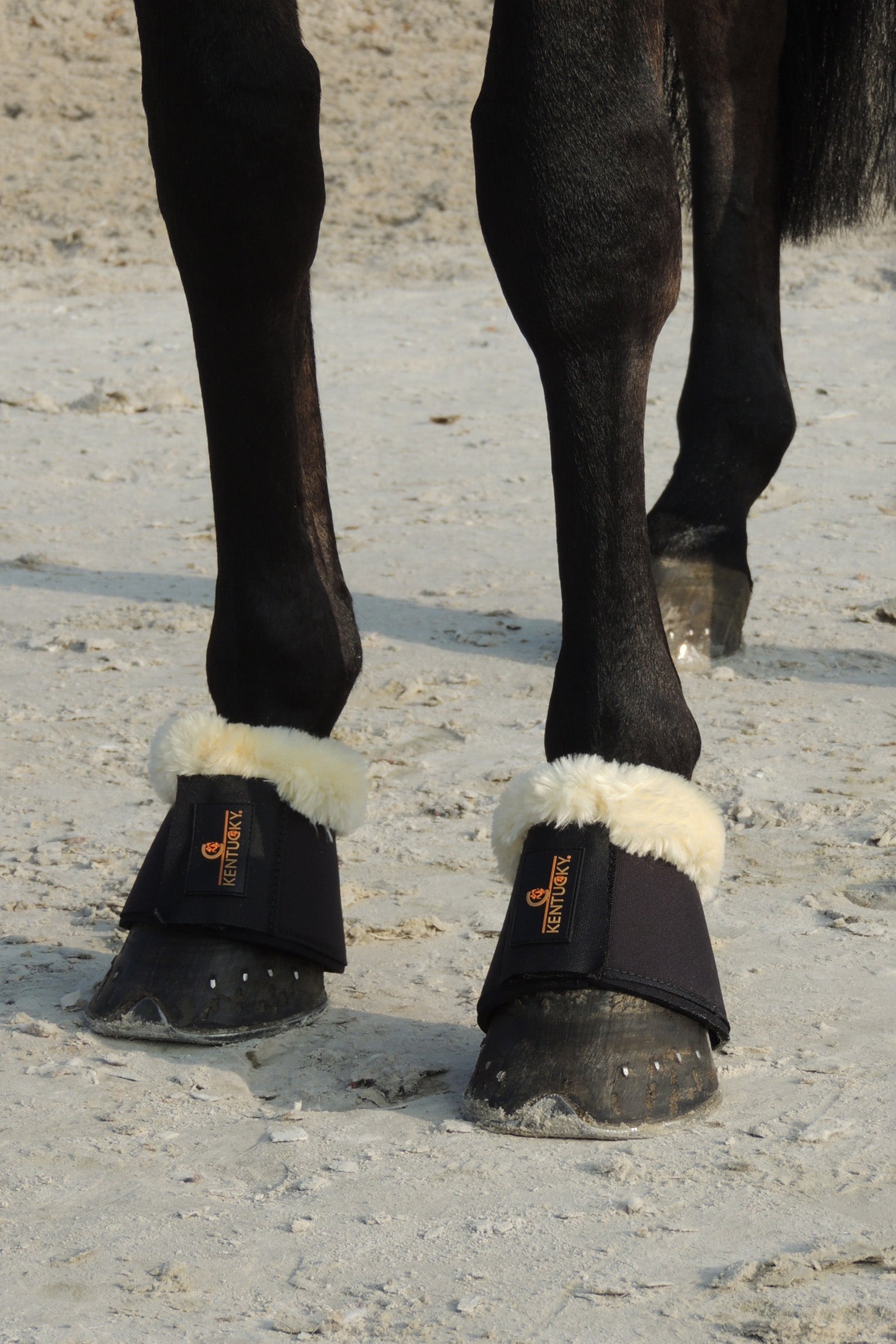 Kentucky Horsewear Sheepskin Overreach boots Leg Protection & Hoof Protection for Horses