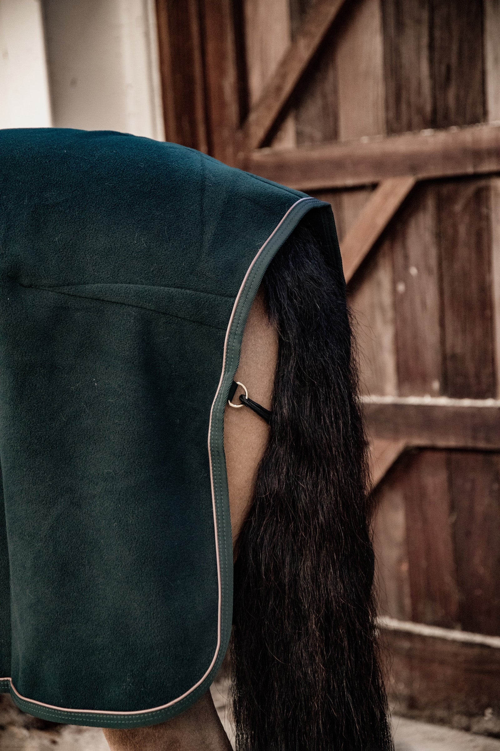 Kentucky Horsewear Fleece Show Rug Horse Rugs