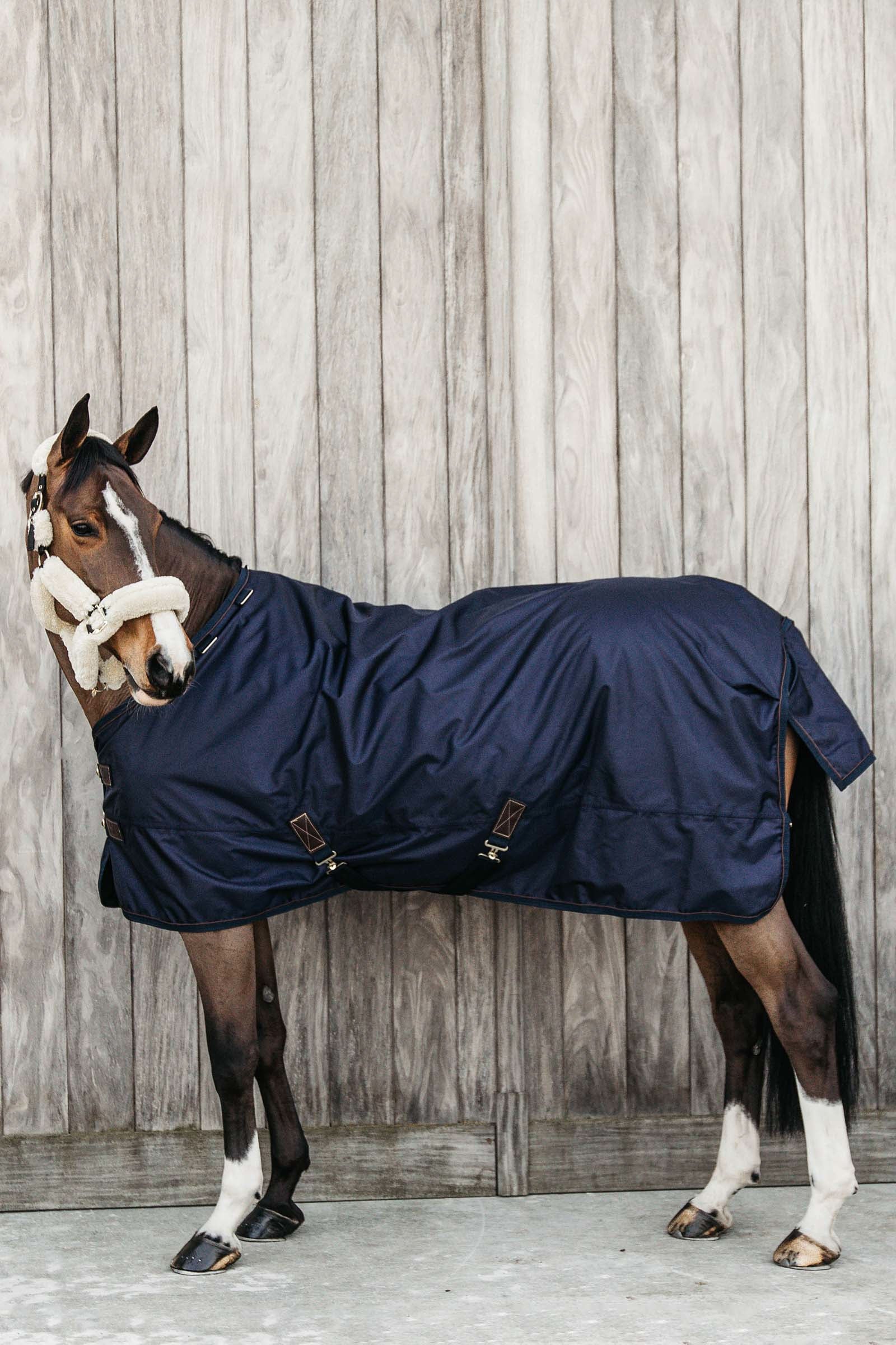 Kentucky Horsewear All Weather Weidedecke, 160g Pferdedecken