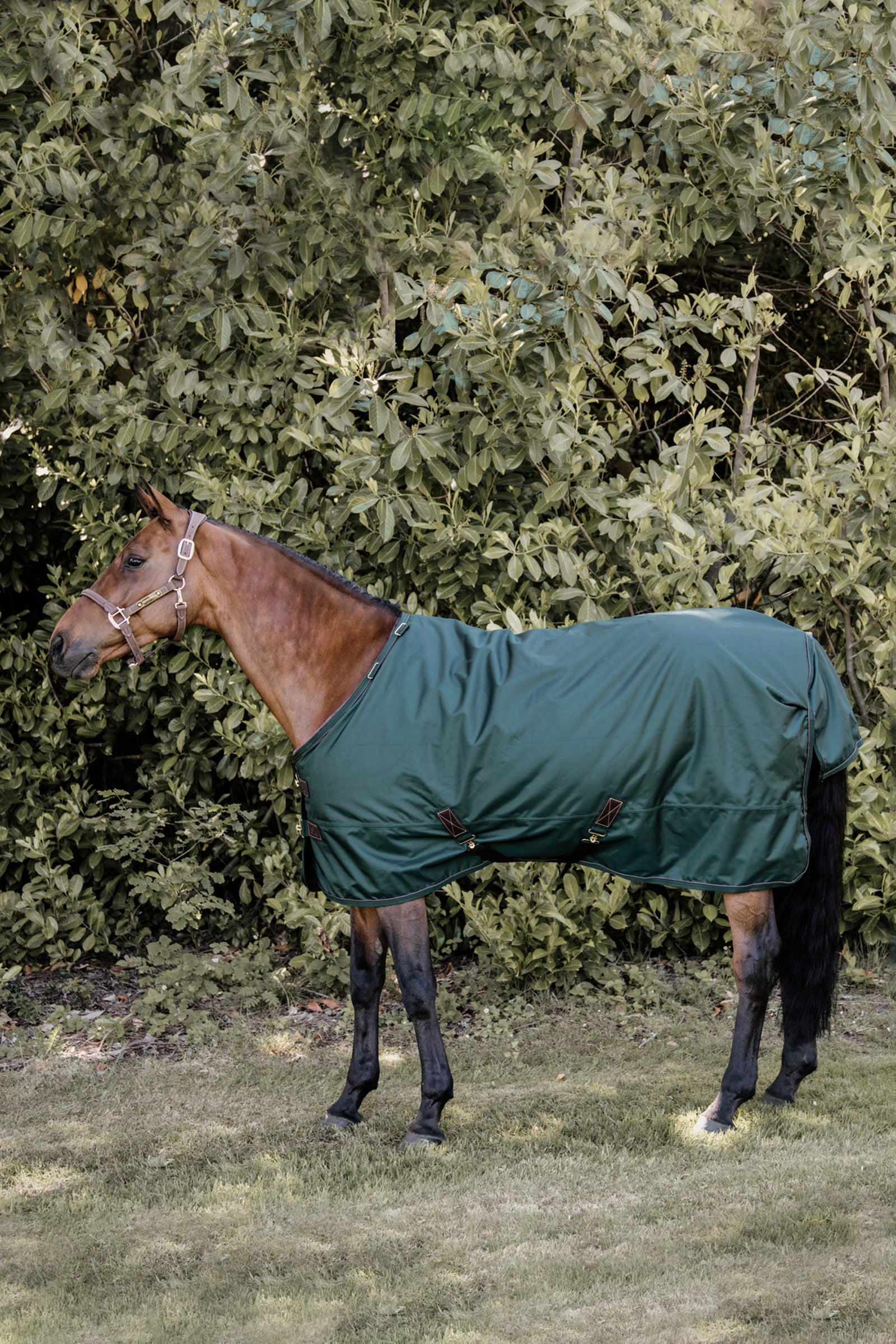 Kentucky Horsewear All Weather Weidedecke, 160g Pferdedecken