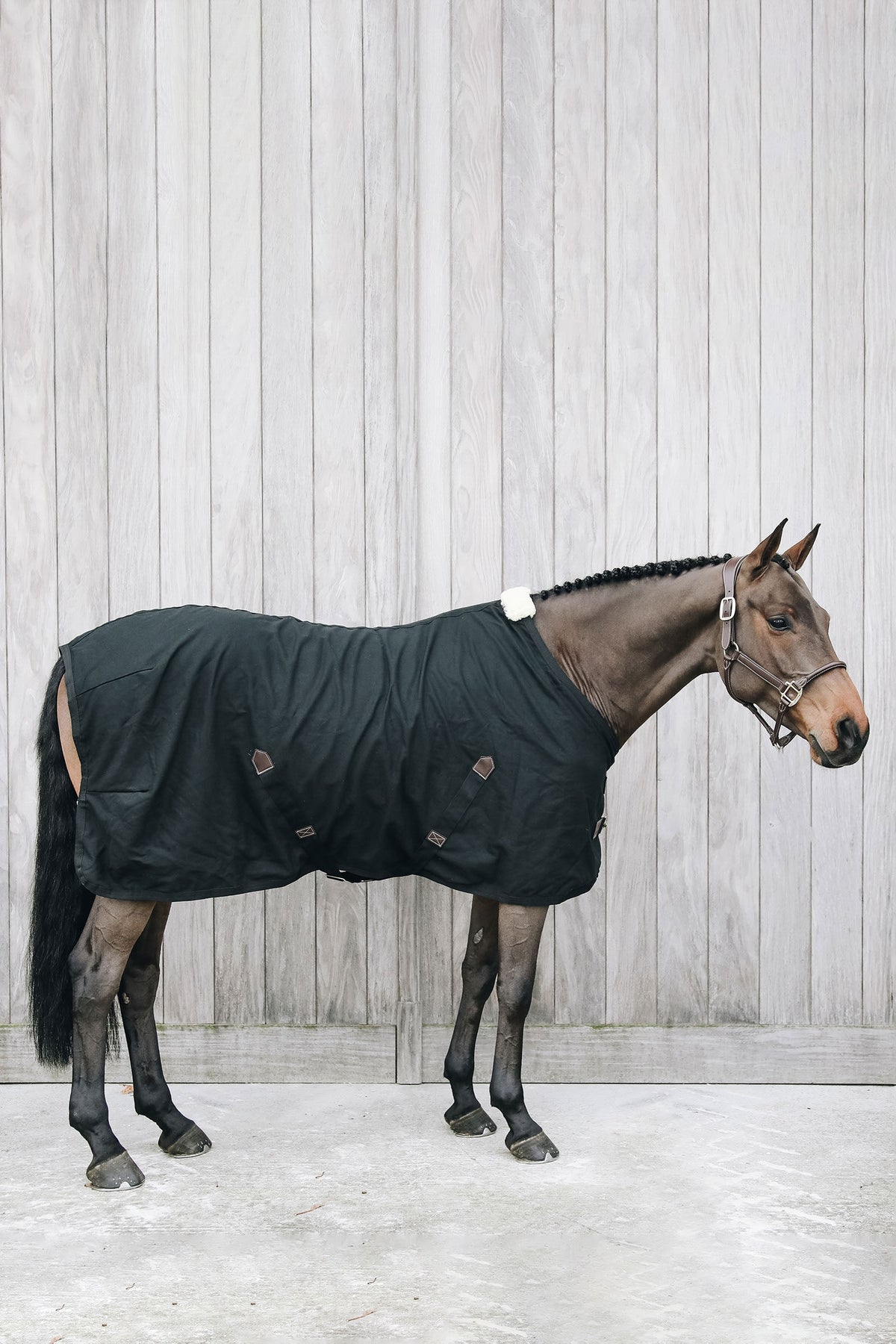 Kentucky Horsewear Baumwoll Abschwitzdecke Pferdedecken