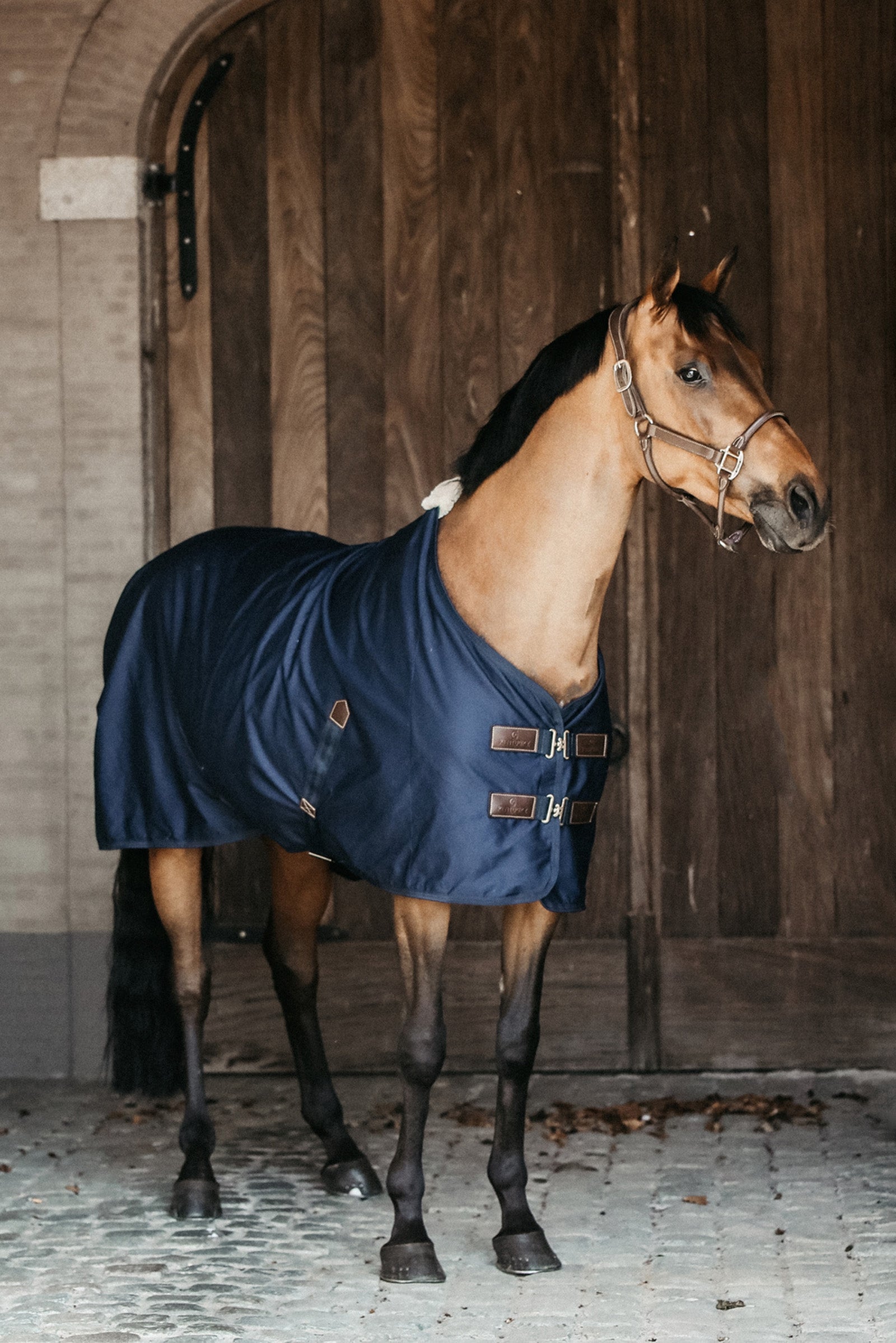 Kentucky Horsewear Baumwoll Abschwitzdecke Pferdedecken