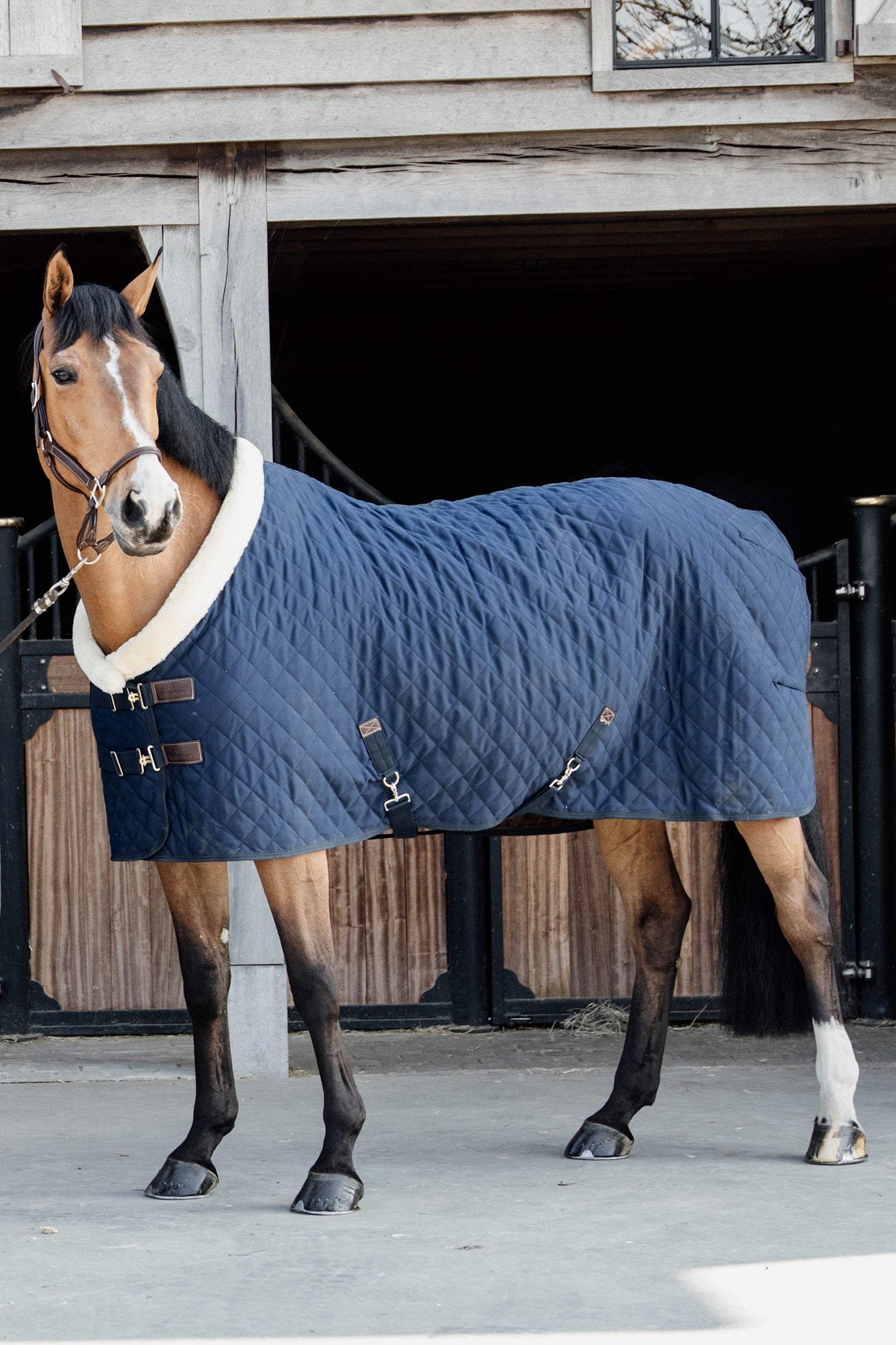 Kentucky Horsewear Show Rug Turnierdecke, 160g Pferdedecken
