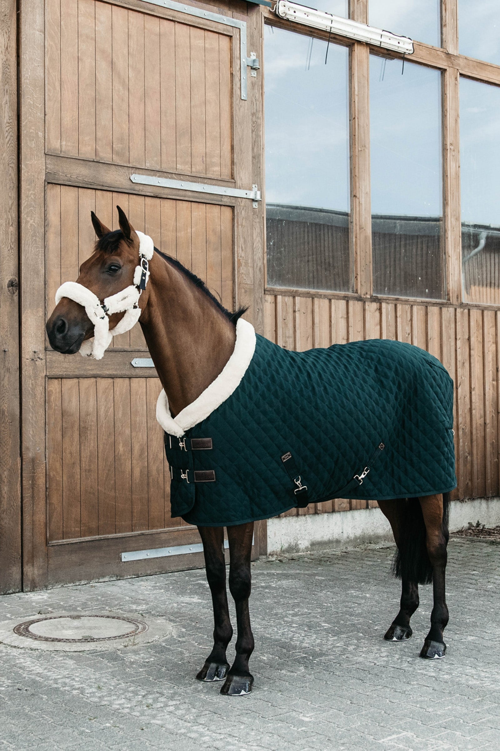 Kentucky Horsewear Show Rug Turnierdecke, 160g Pferdedecken