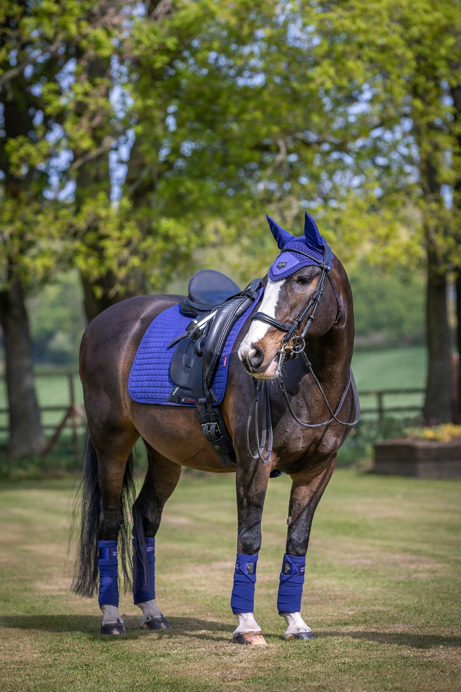 LeMieux Suede Seasonal Luxury Dressage Pad Saddle Pads