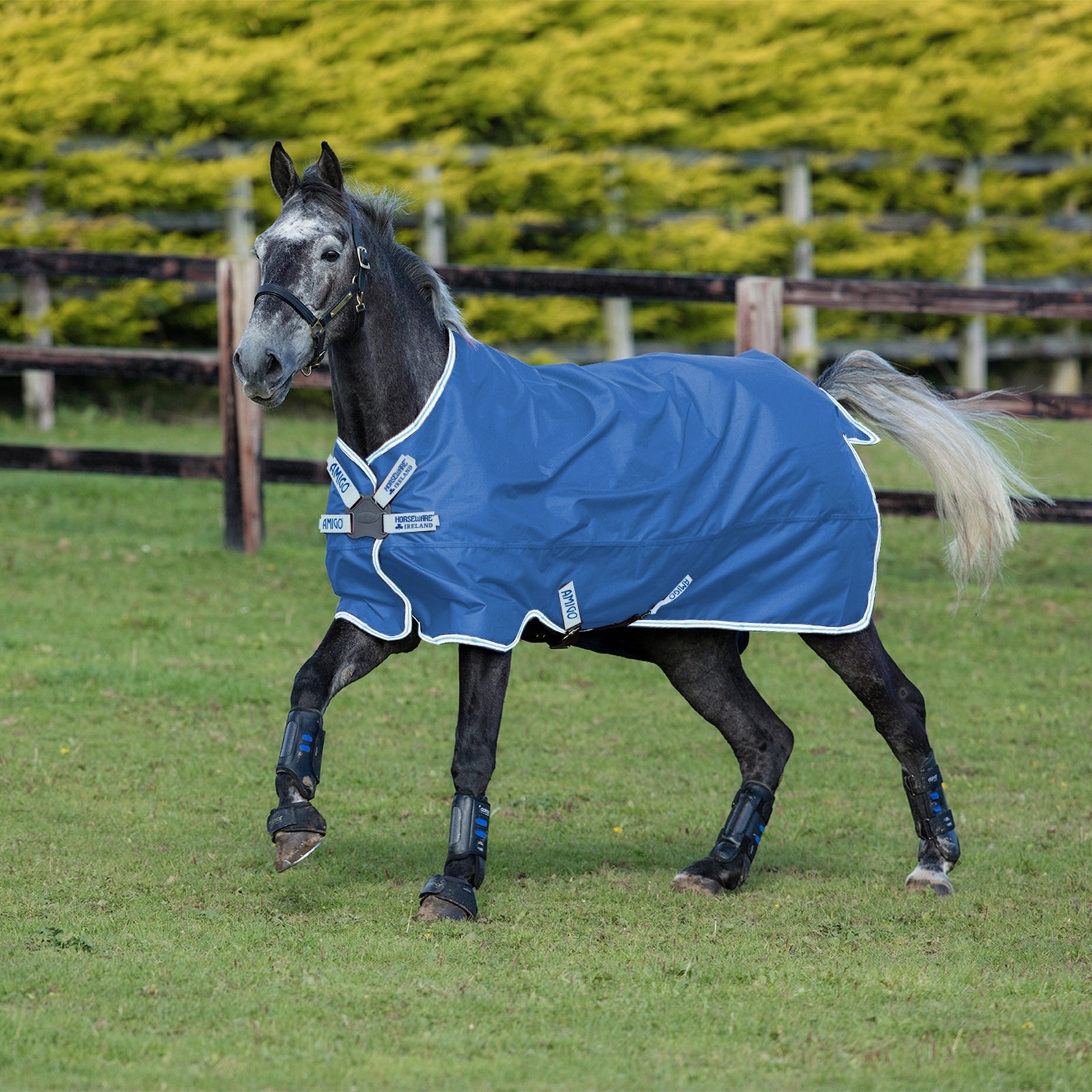 Horseware Amigo Hero 900 Disc Regendecke, 50g Pferdedecken