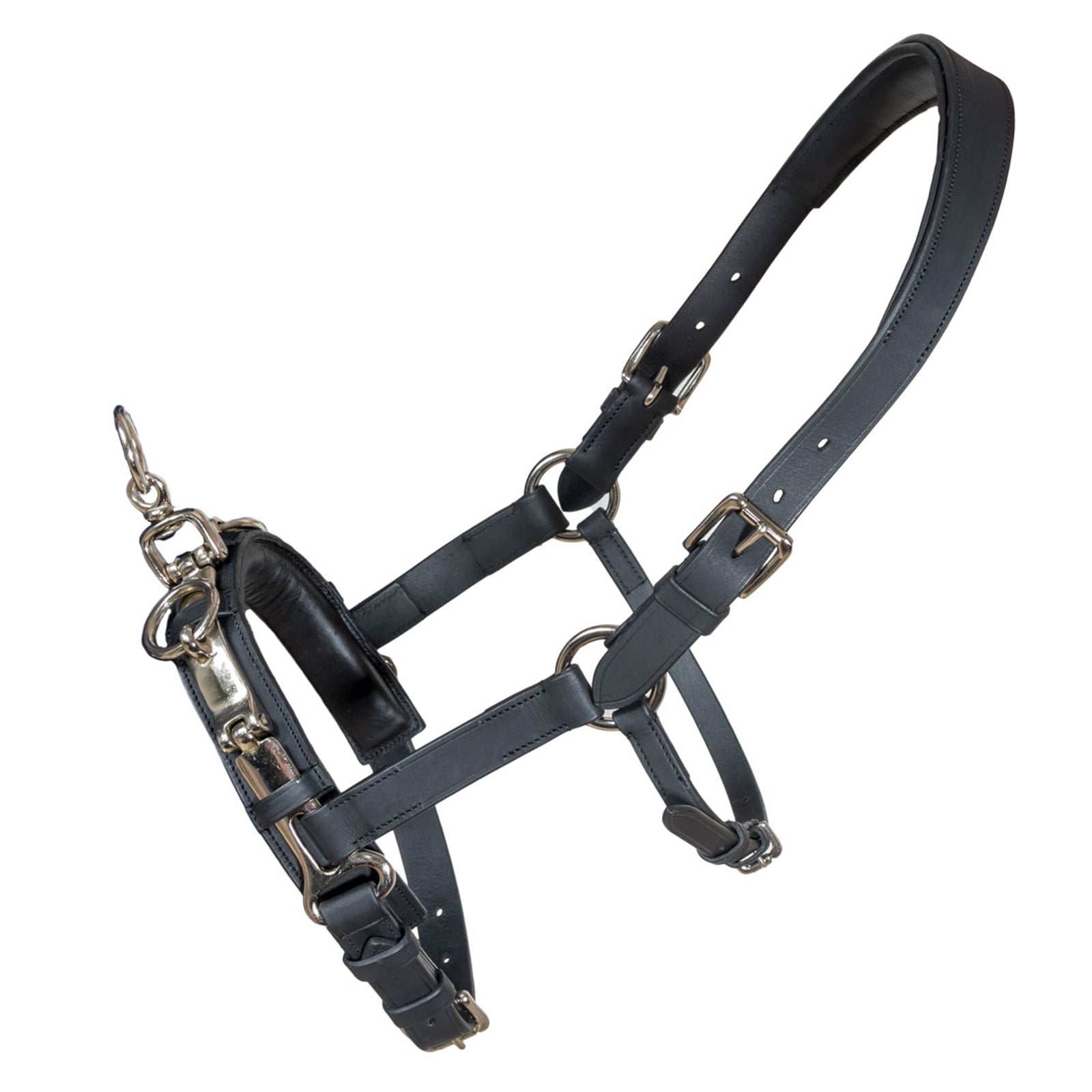 Karlslund Leder Kappzaum Longieren & Bodenarbeit