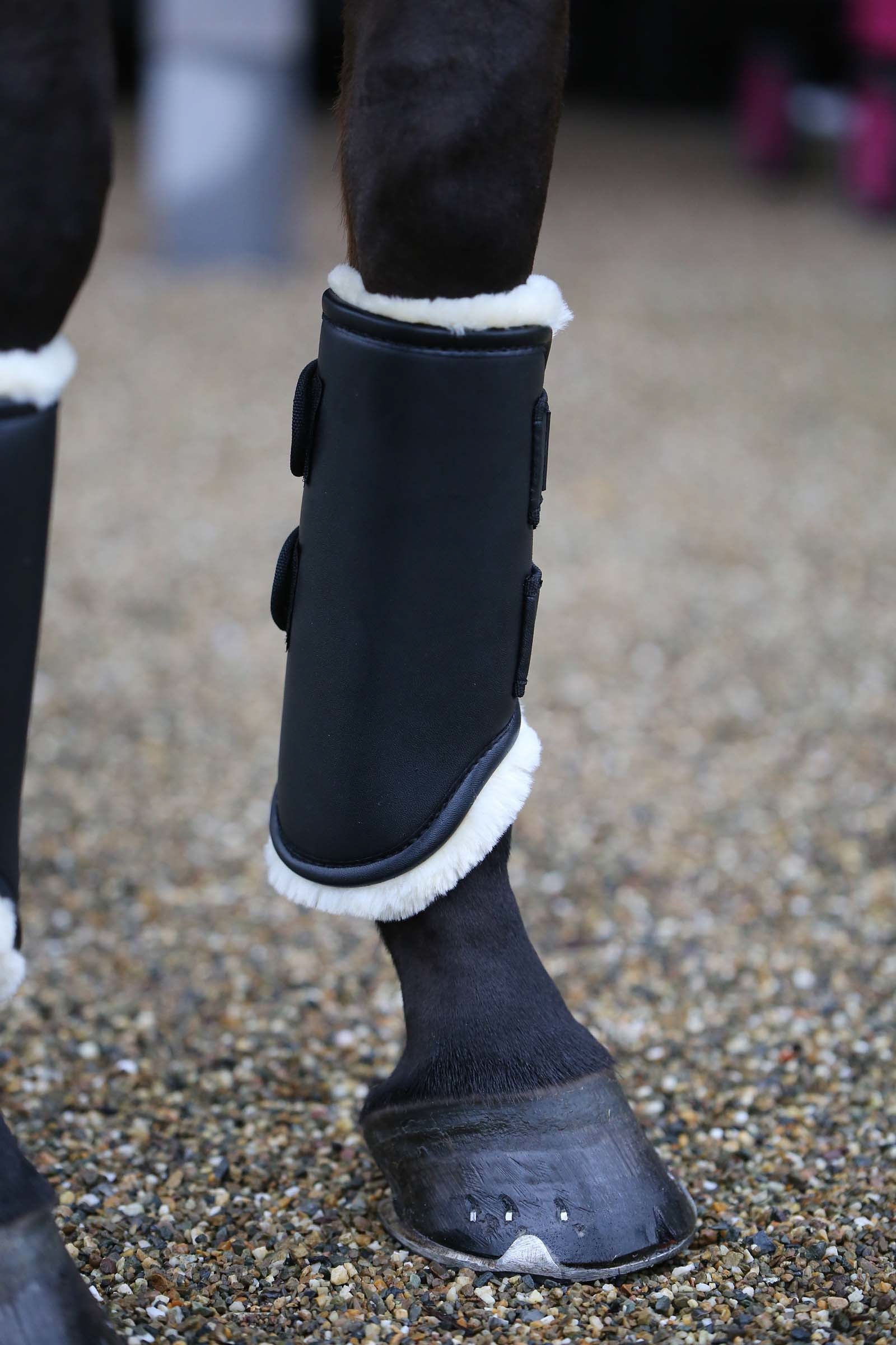 Kentucky Horsewear Kentucky Turnout boots leather, front Leg Protection & Hoof Protection for Horses