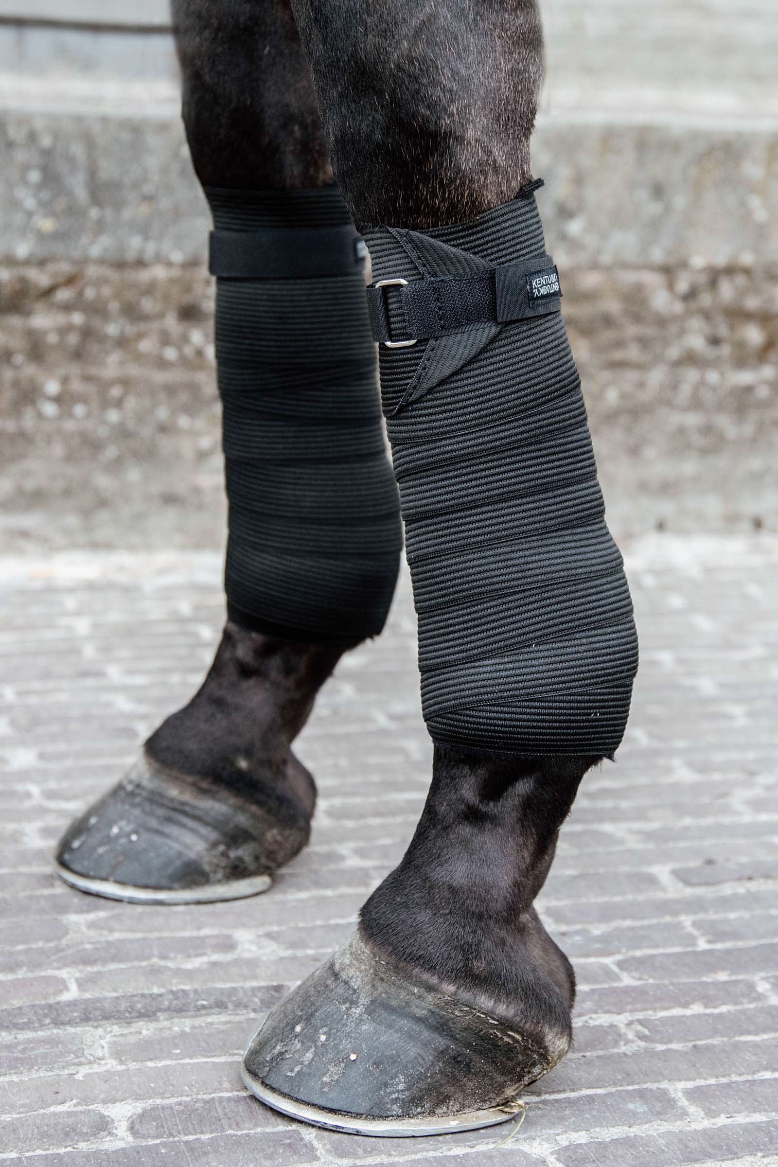 Kentucky Horsewear Polar Fleece- & Elastikbandagen Leg Protection & Hoof Protection for Horses