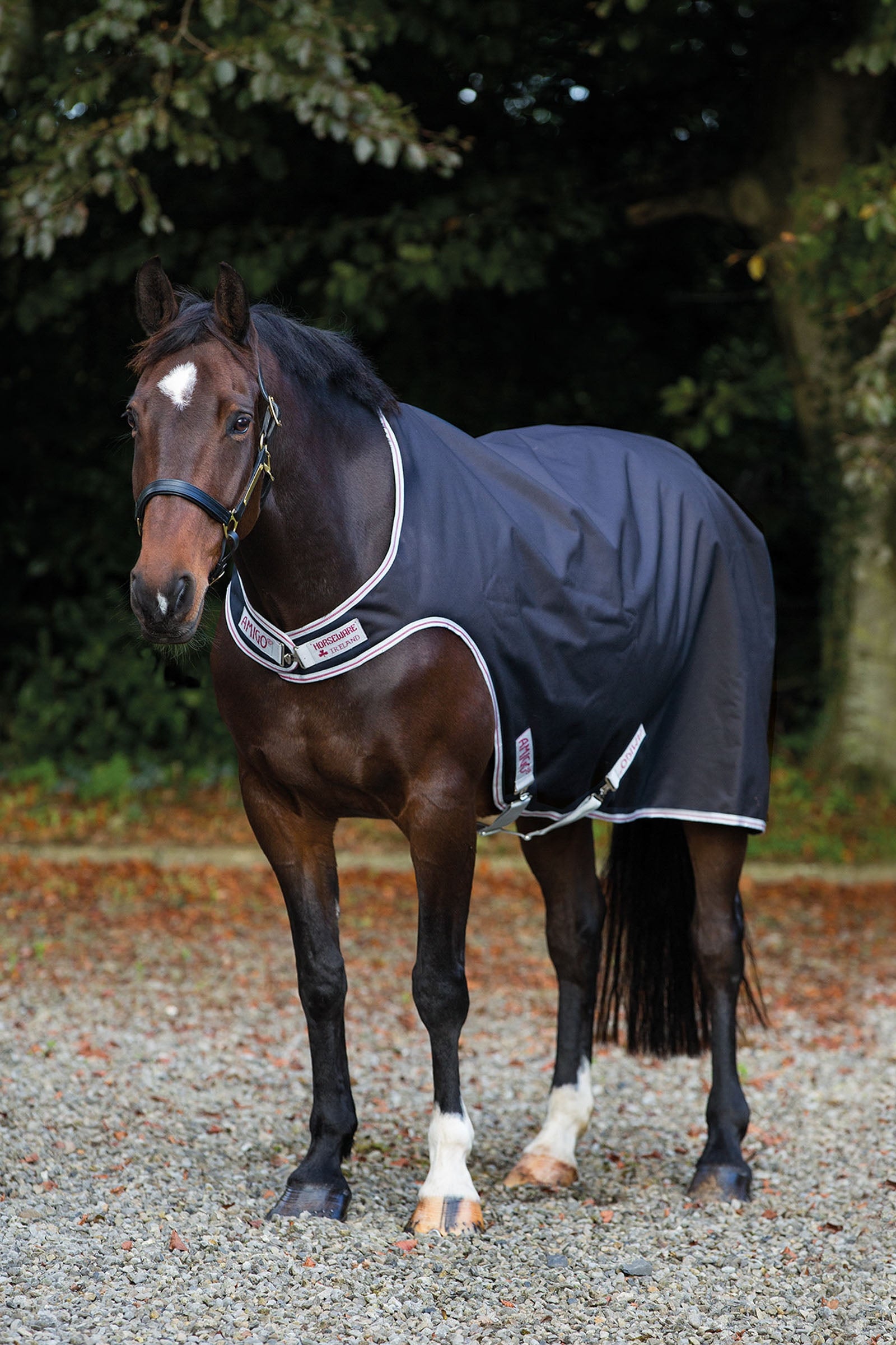 Horseware Amigo Führanlagendecke, 100g Pferdedecken