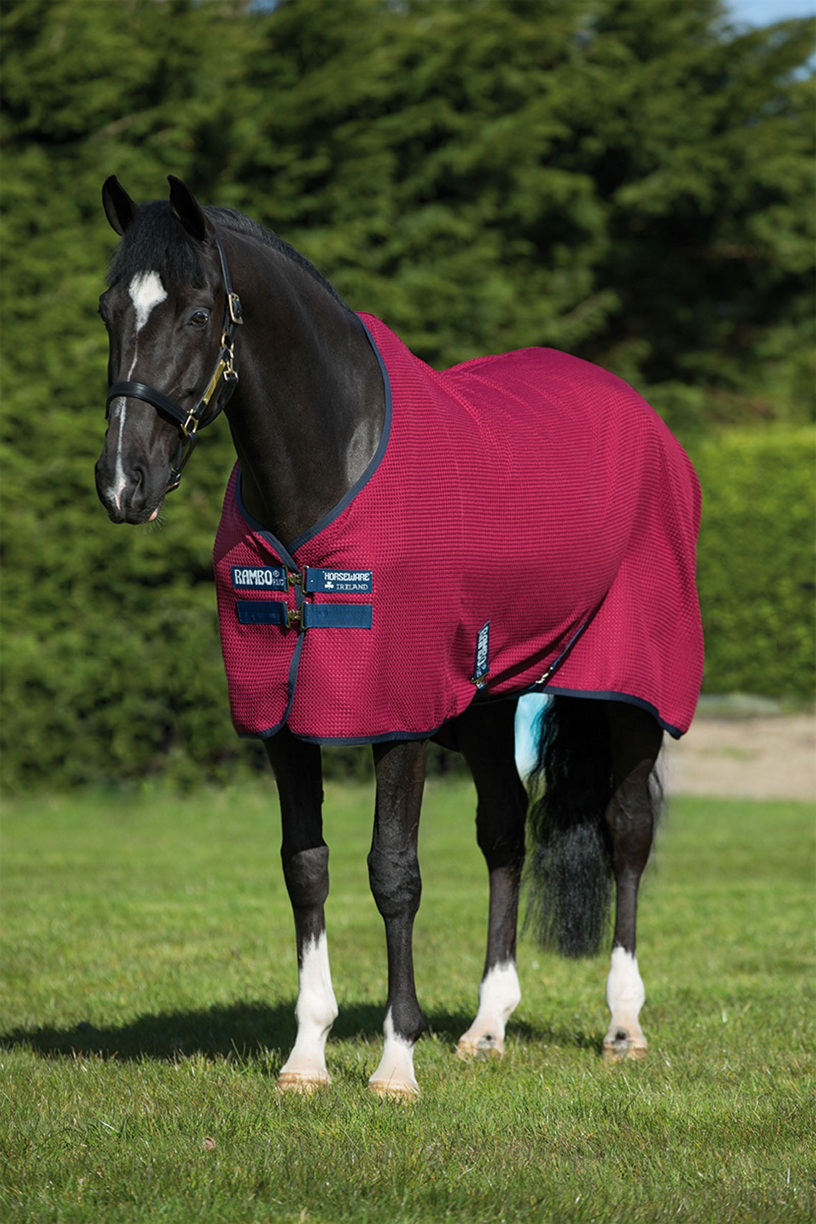 Horseware Rambo Funktions-Abschwitzdecke Pferdedecken