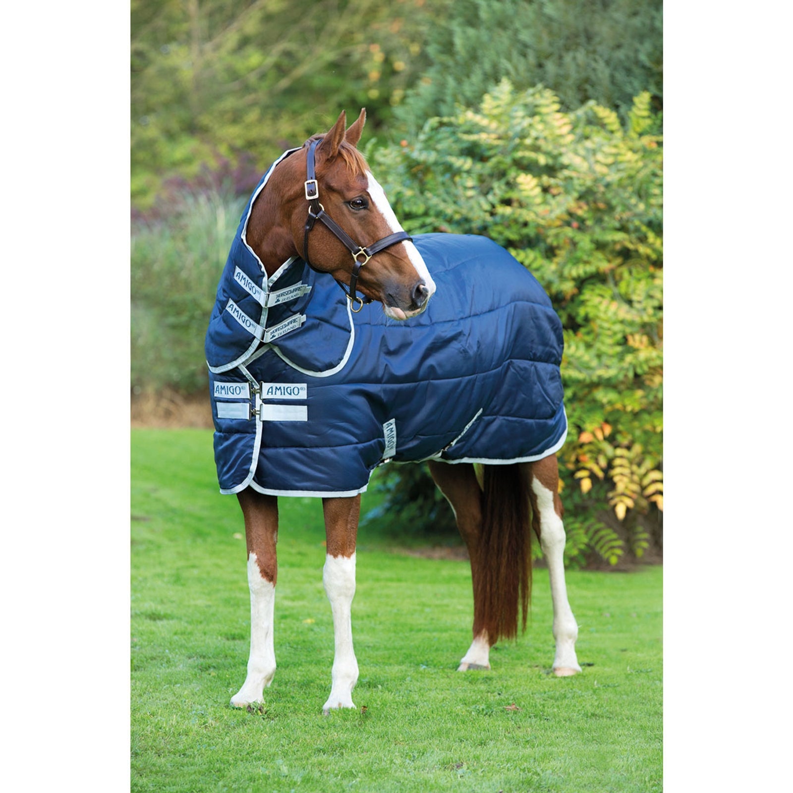 Horseware Amigo Insulator Plus Stalldecke mit abnehmbarem Halsteil, 200g Pferdedecken