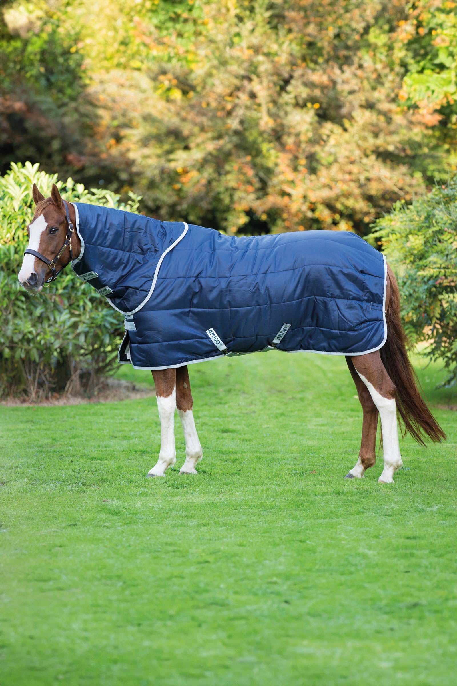 Horseware Amigo Insulator Plus Stable Rug With Detachable Neck, 200g Horse Rugs