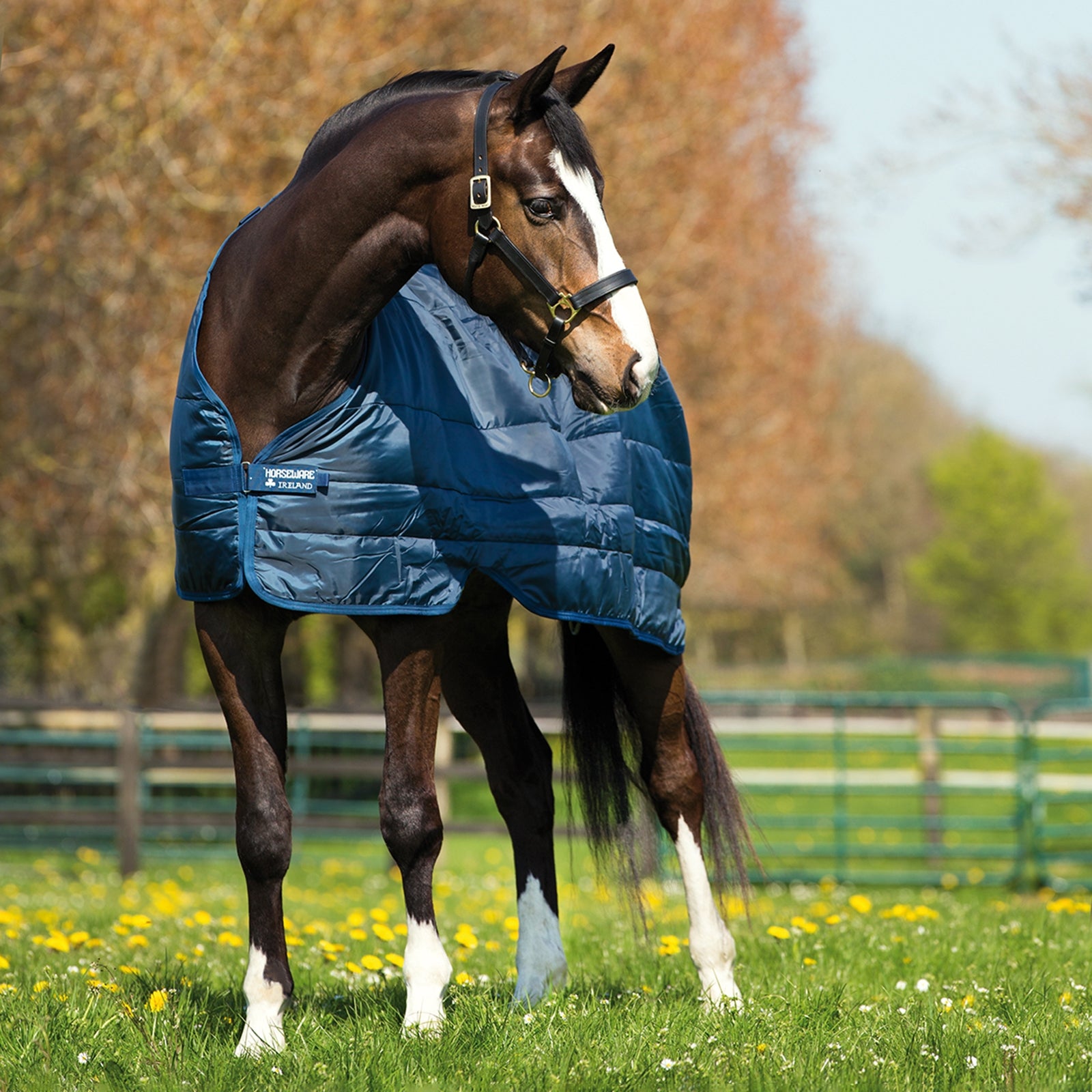 Horseware Liner 400g Horse Rugs