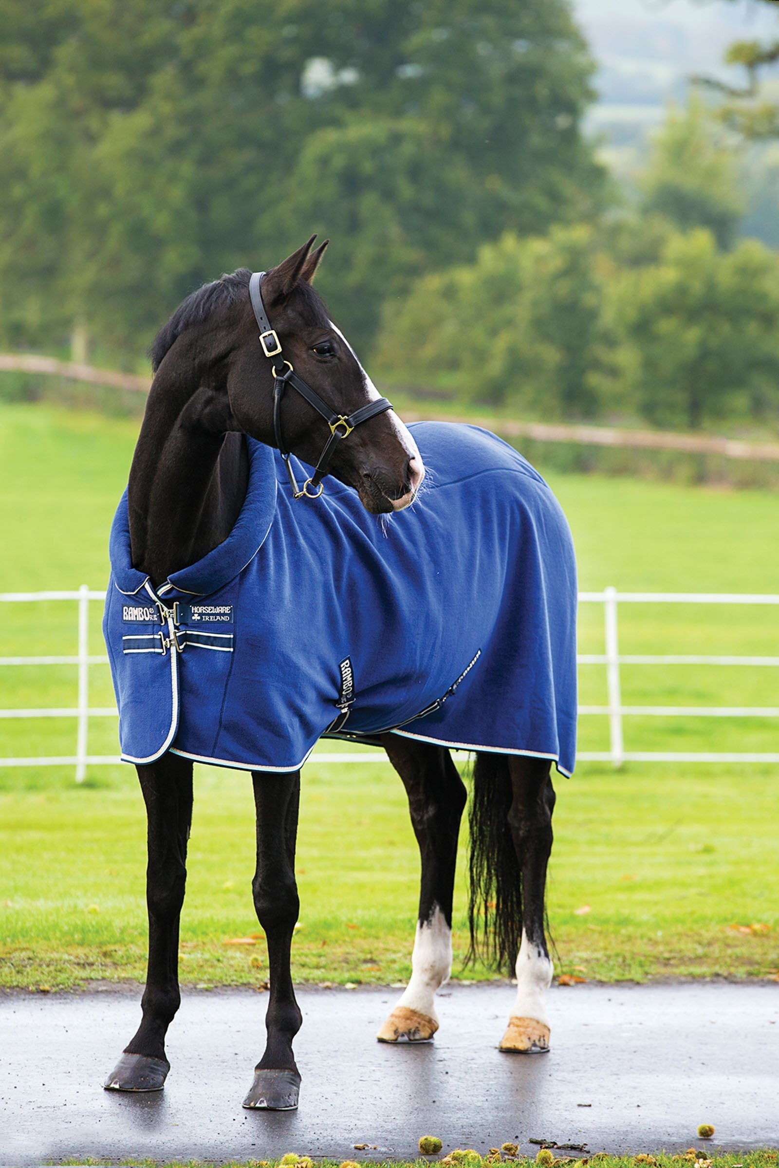 Horseware Rambo Cosy Fleece Abschwitzdecke Pferdedecken