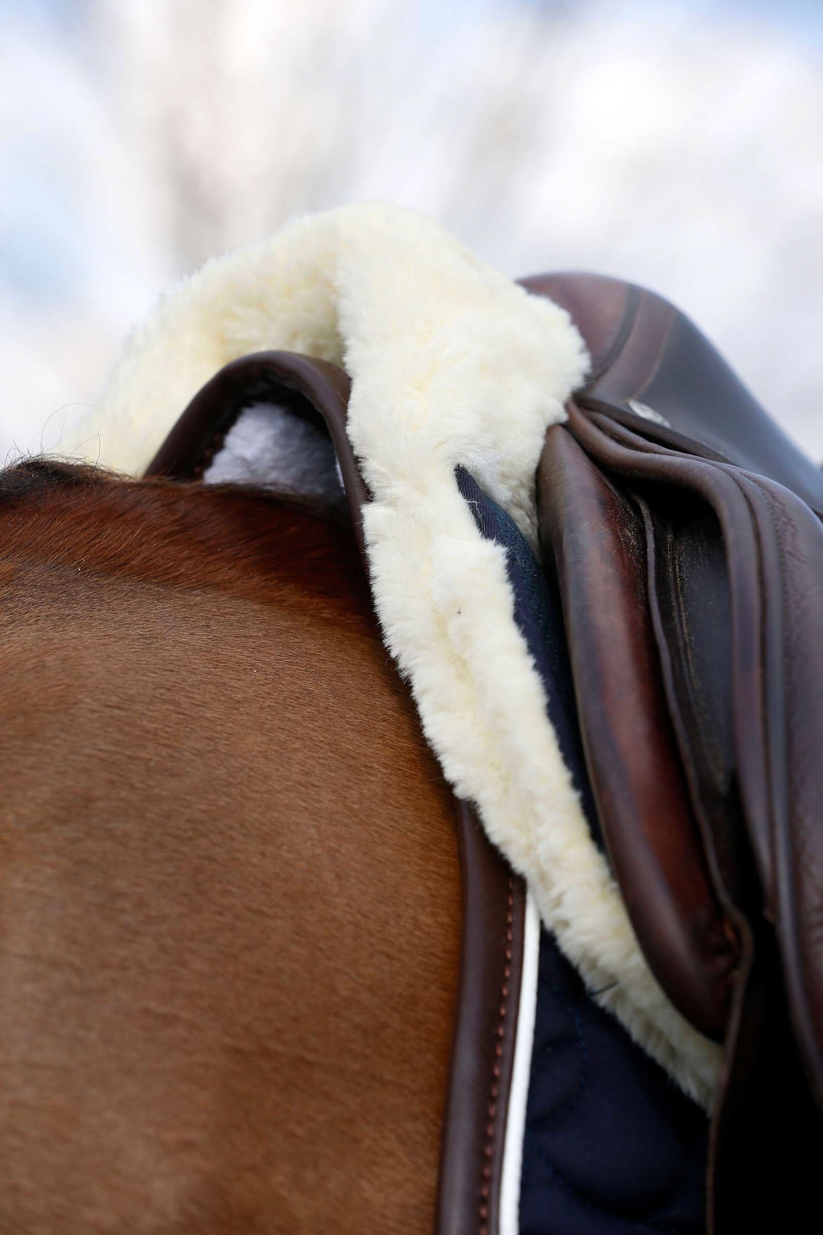 Kentucky Horsewear Absorb Sheepskin Half Pad Saddle Pads