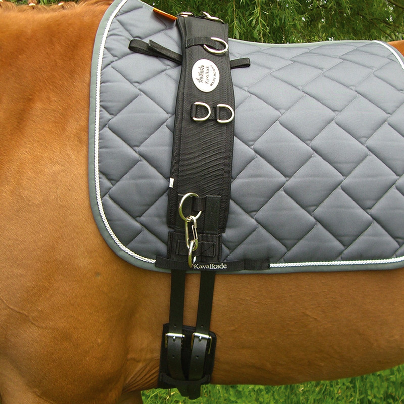 Kavalkade Lungeing girth Neoprene Horse Training
