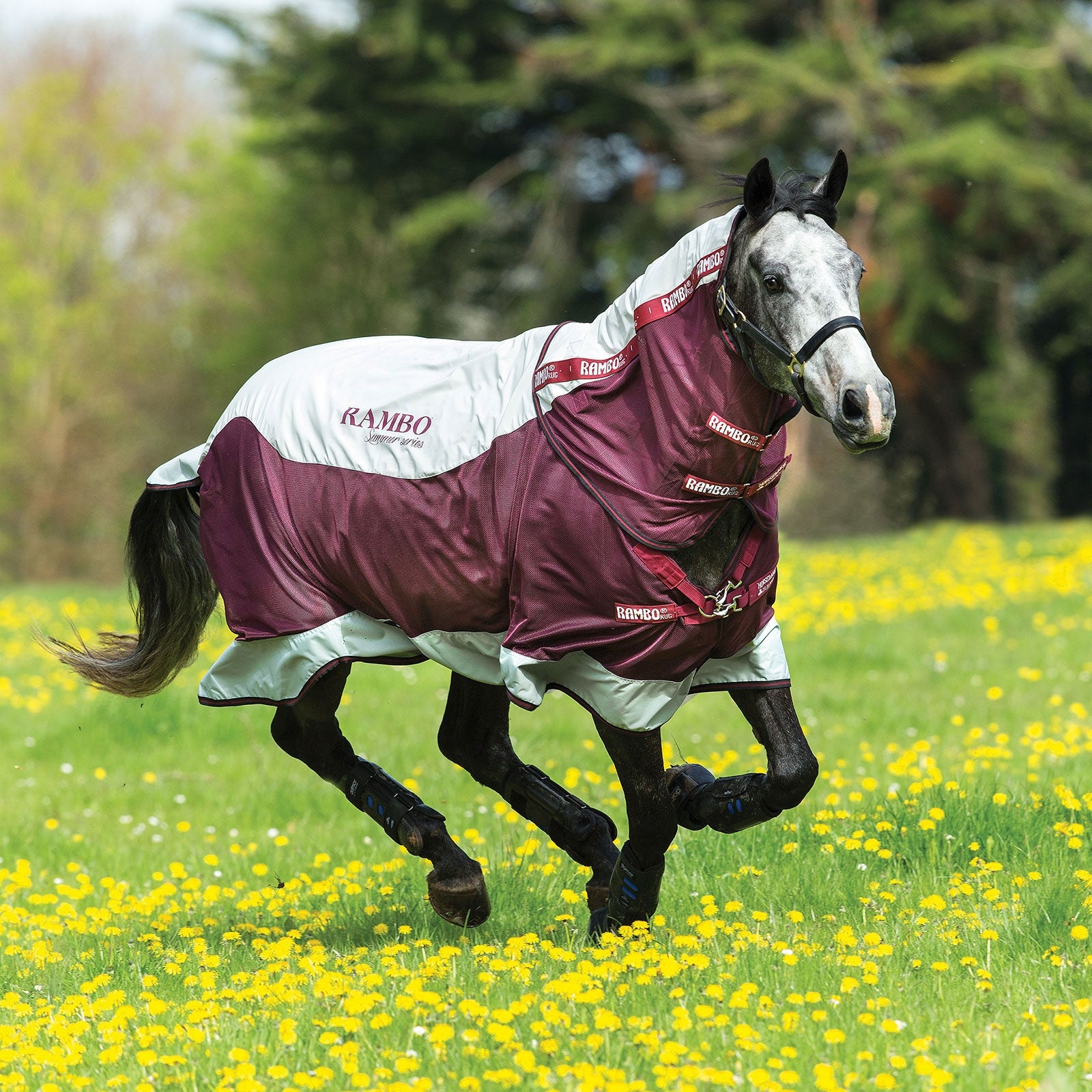 Horseware Rambo Summer Series Weidedecke mit Liner (0g / 100g) und abnehmbarem Halsteil Pferdedecken