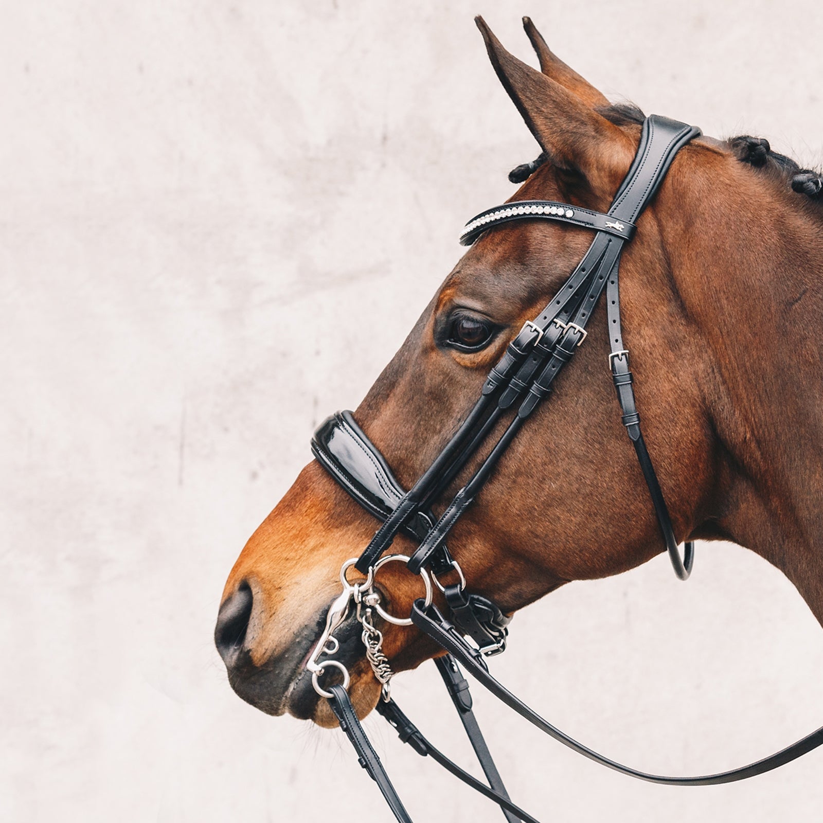Schockemöhle Sports Venice Double Bridle Bridles & Reins