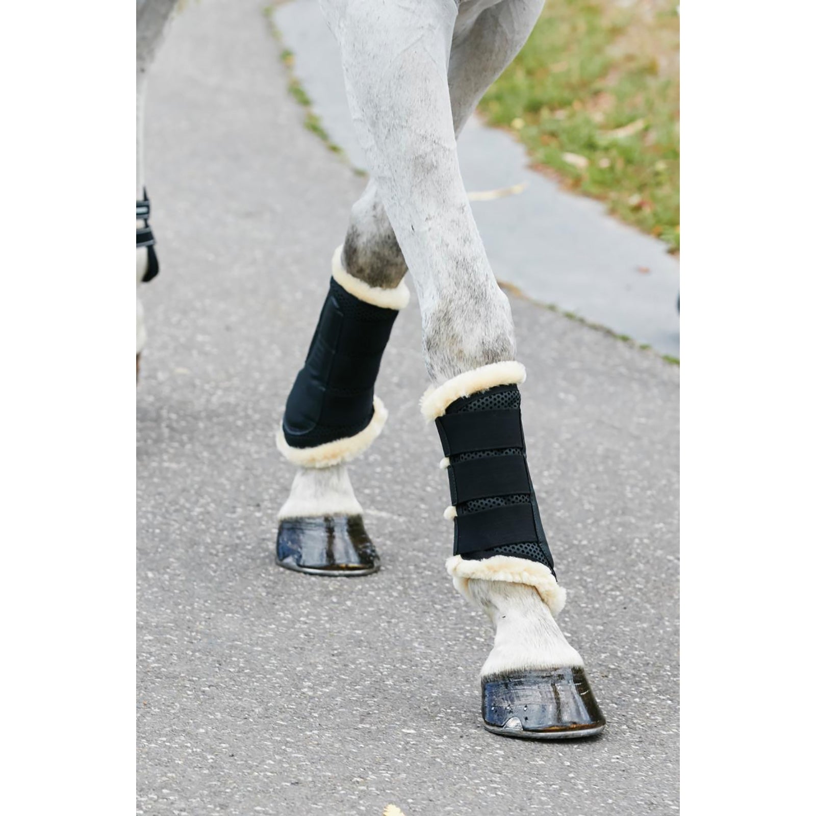 Weatherbeeta Pure Wool Lined Trainingsgamaschen aus Schurwolle Leg Protection & Hoof Protection for Horses